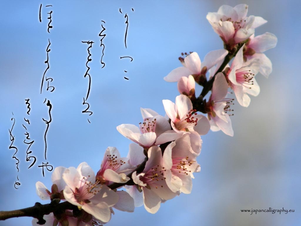 Japanese calligraphy desktop wallpaper .japancalligraphy.eu