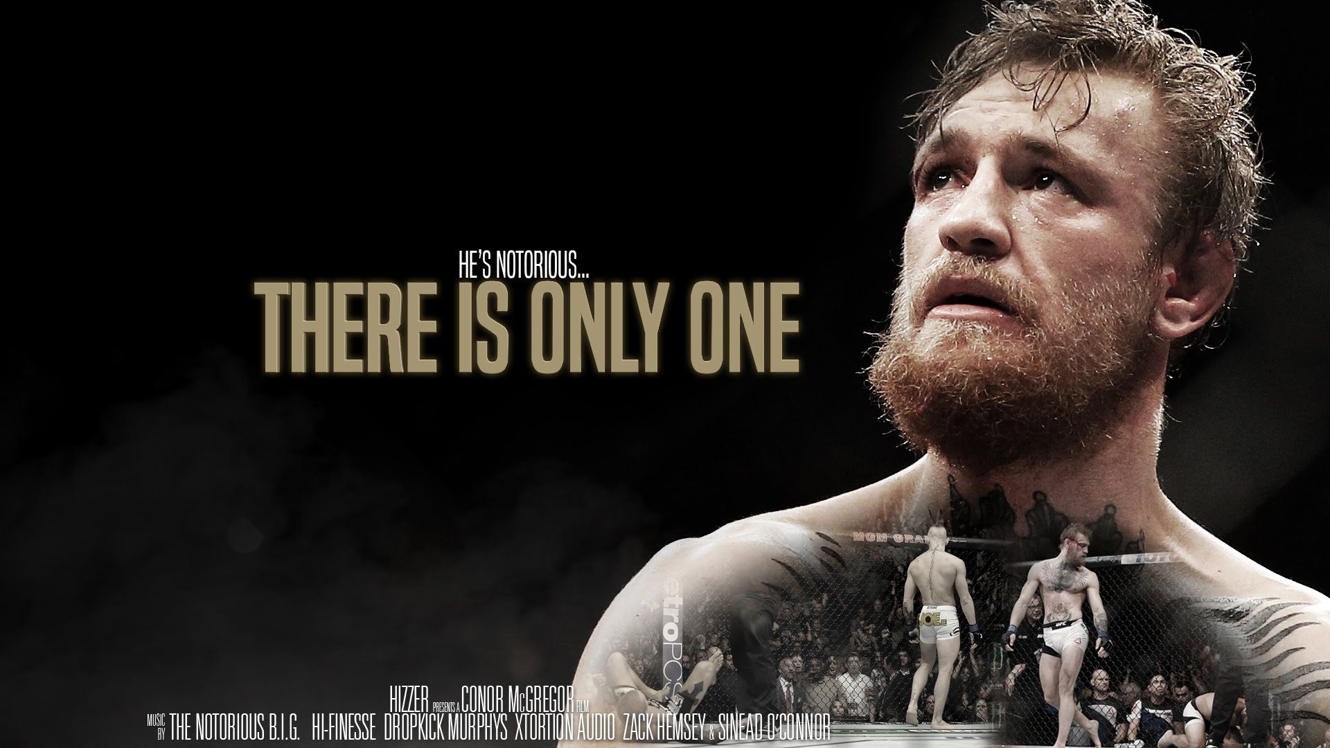Conor McGregor HD Wallpaperwallpaperdsc.net