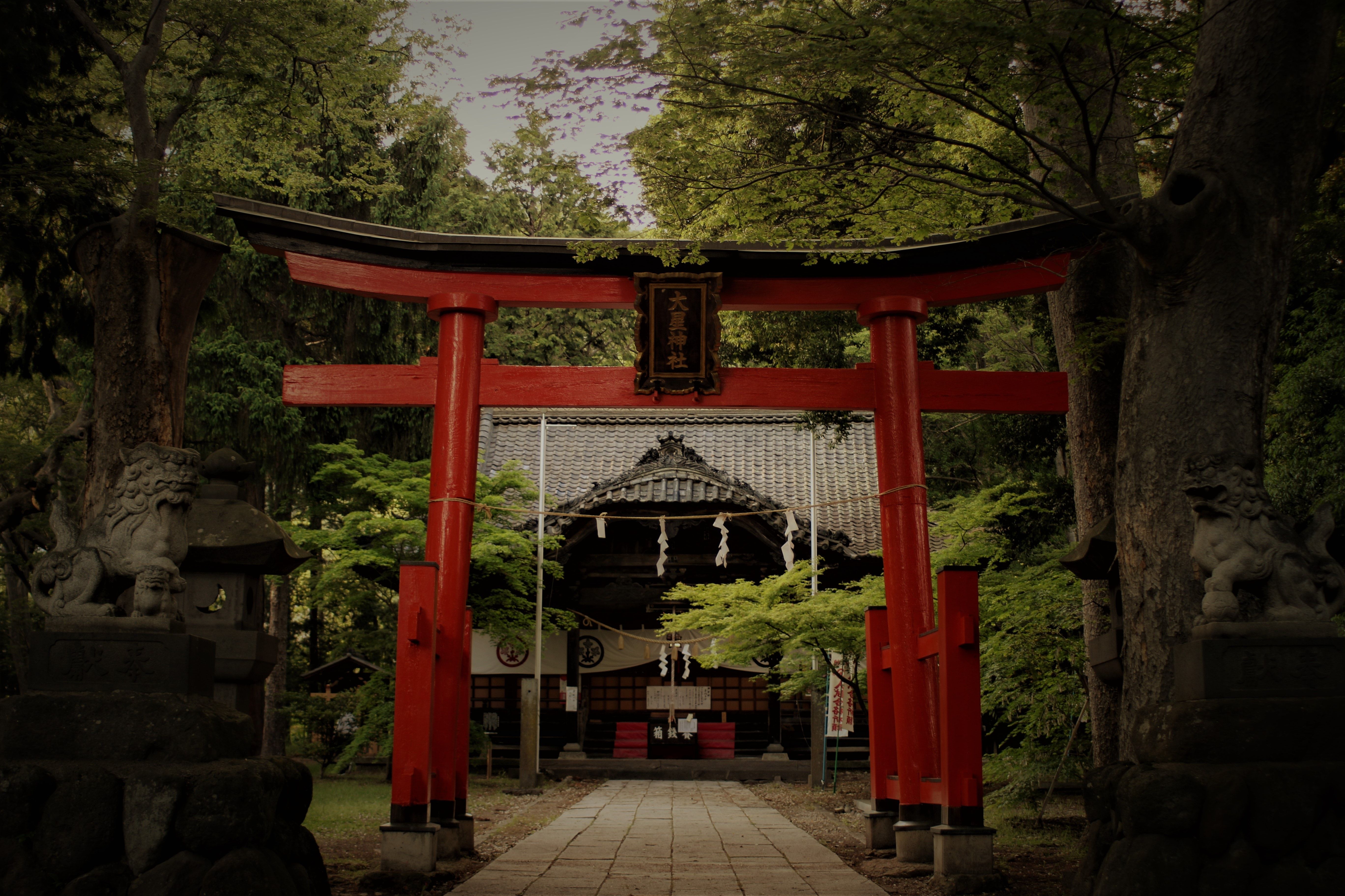 Япония синтоистские храмы в лесу