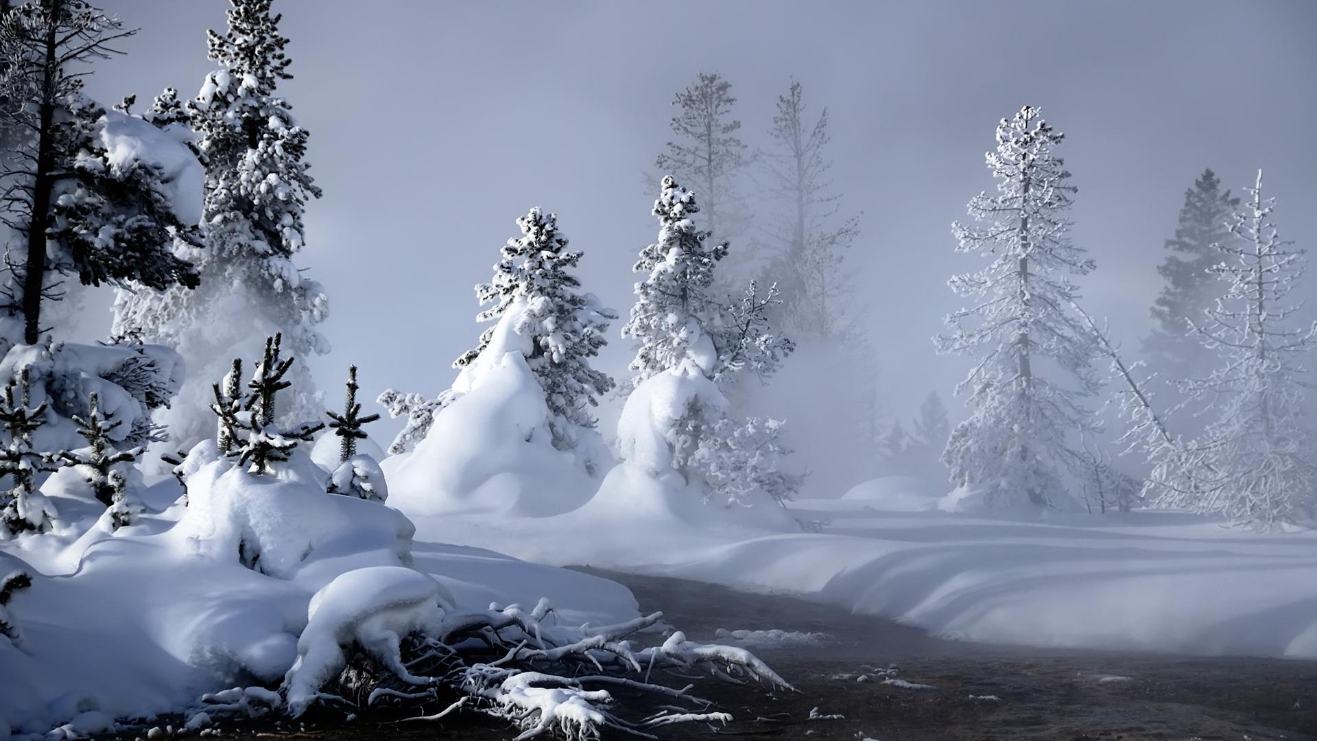 Snow Landscape HD Wallpaperx1080 .wallpapervortex.com