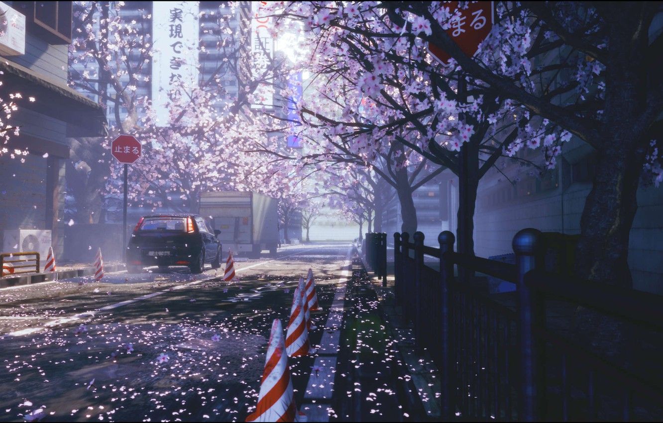 Wallpaper auto, flowers, the city, street, spring, Sakura image for desktop, section арт