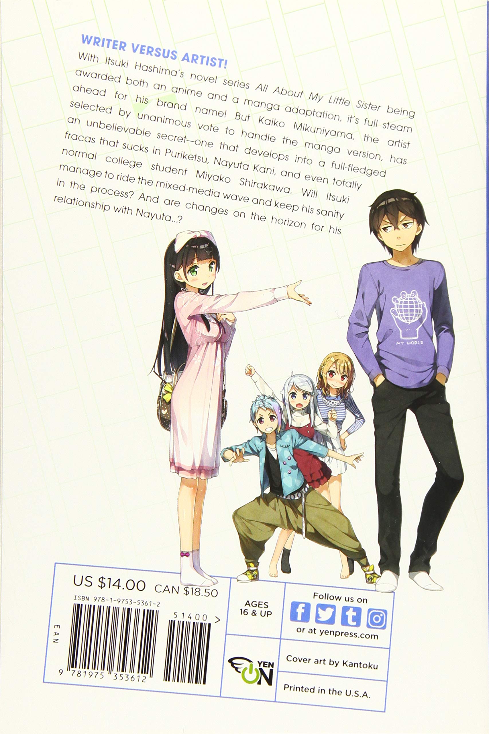 You Need., Vol. 4 light novel .amazon.com