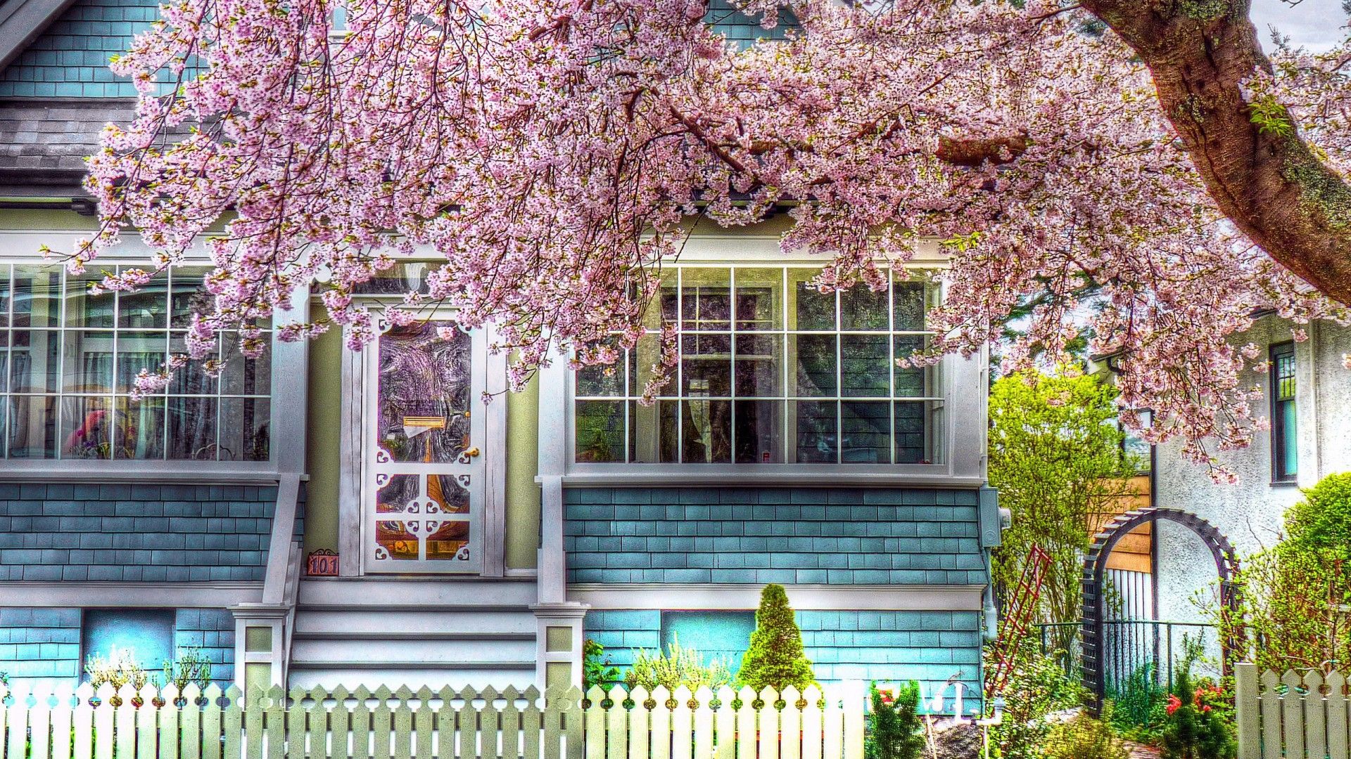 House With Cherry Blossom Tree .wallpapertip.com