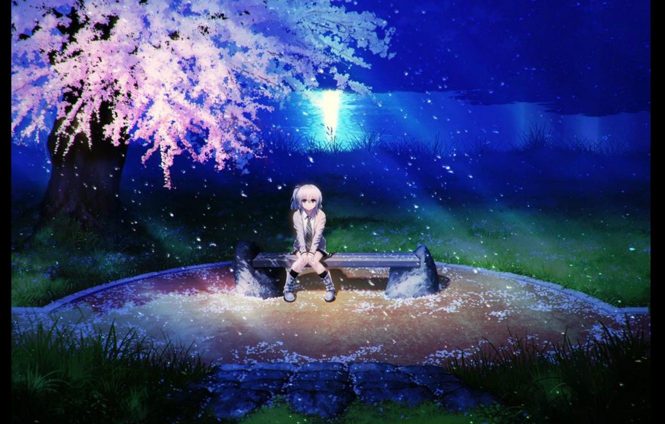 Wallpaper grass, bench, night, river .anime.goodfon.com