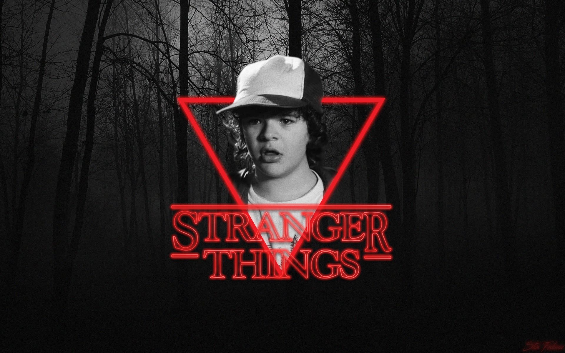 Download Season 4 Dustin Stranger Things Wallpaper  Wallpaperscom