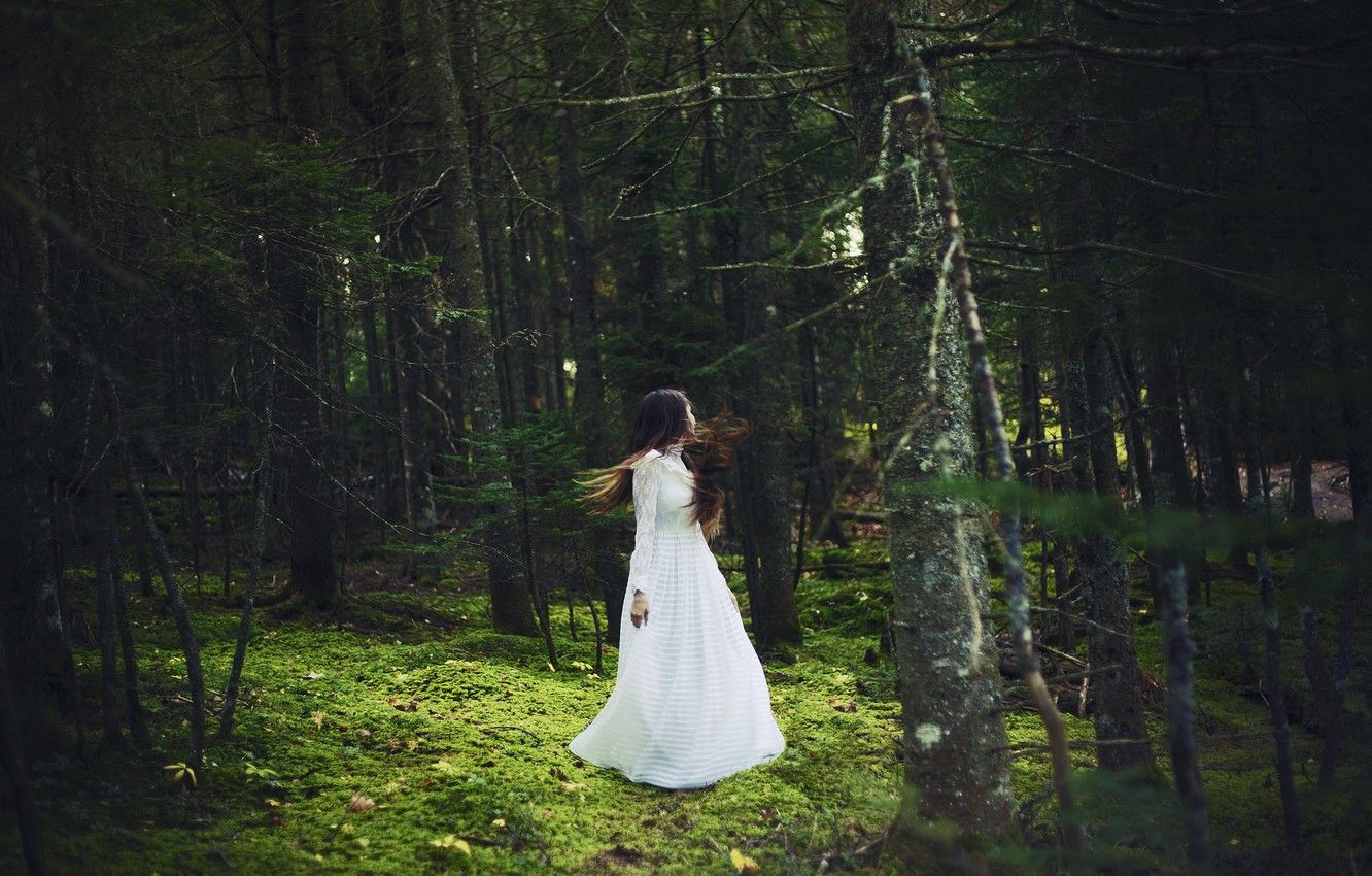 Photo Wallpaper Forest, Girl, White .teahub.io