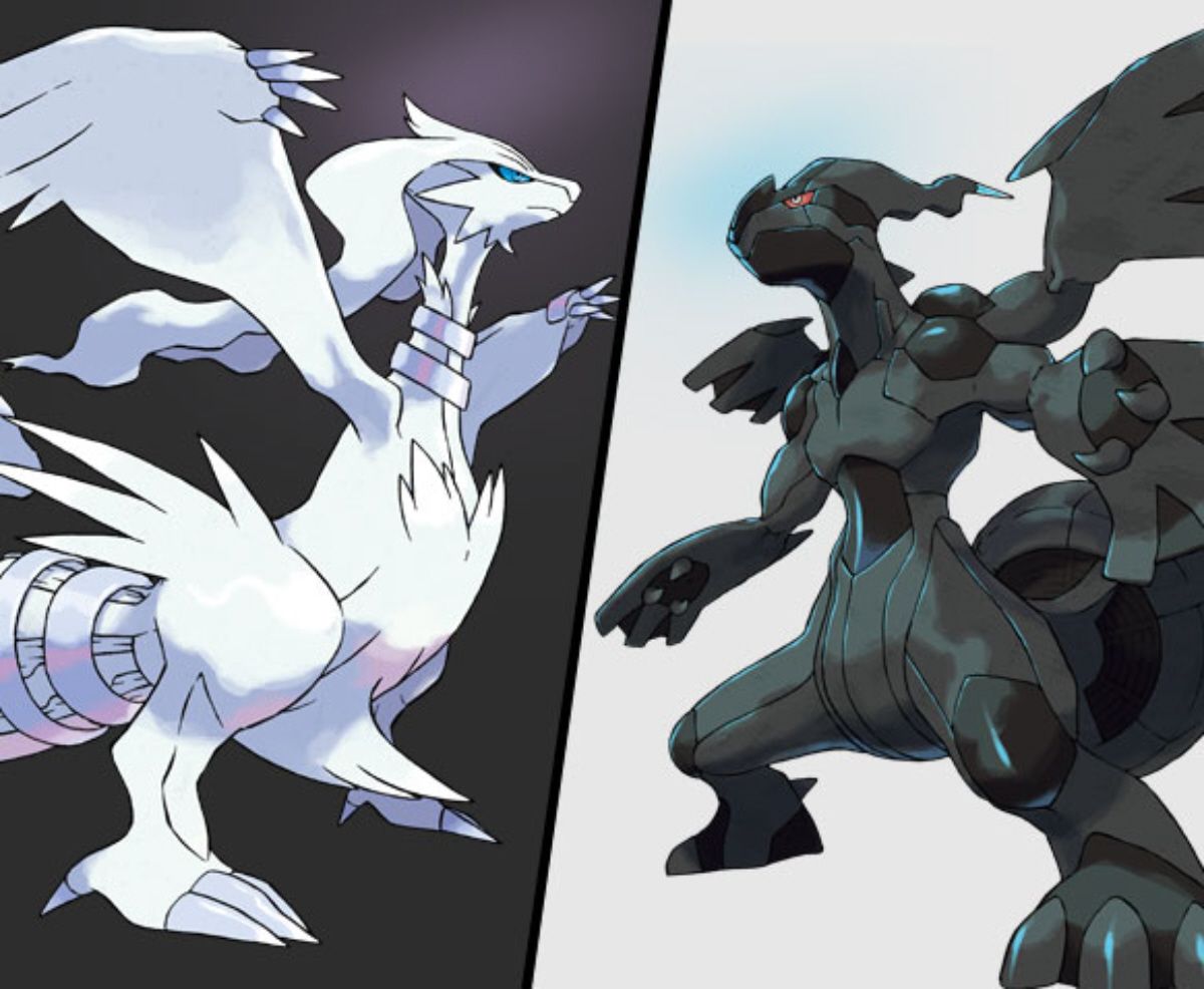 Free download zekrom and reshiram legendary pokemon black and white pokemonjpg [1200x986] for your Desktop, Mobile & Tablet. Explore Pokemon Black And White Wallpaper. Pokemon Black And White Wallpaper