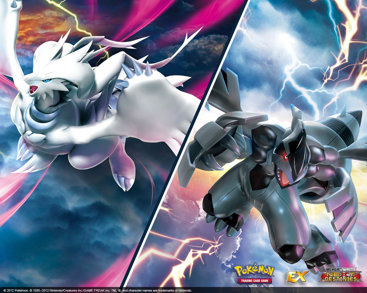 Thumbnail - >> Zekrom And Reshiram Wallpaper & Background Download