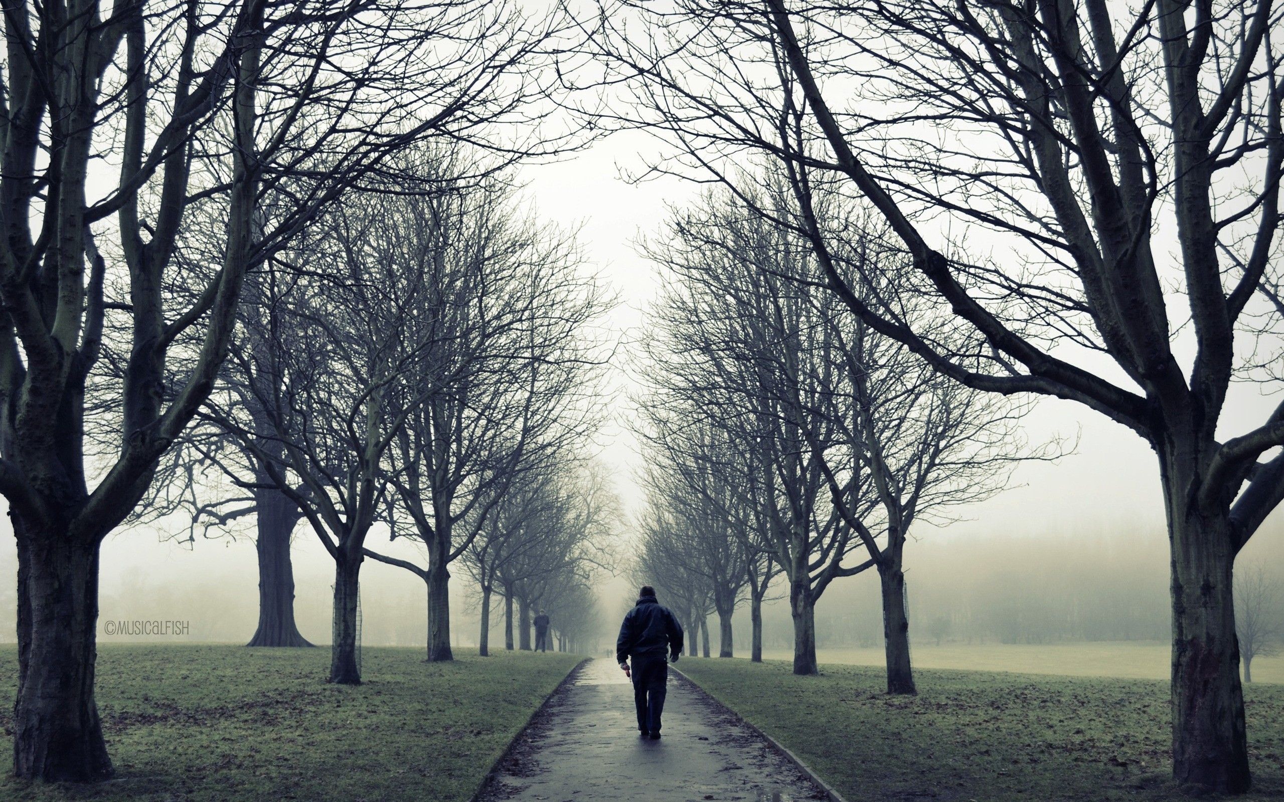 Lonely Man In Road Alone In Park