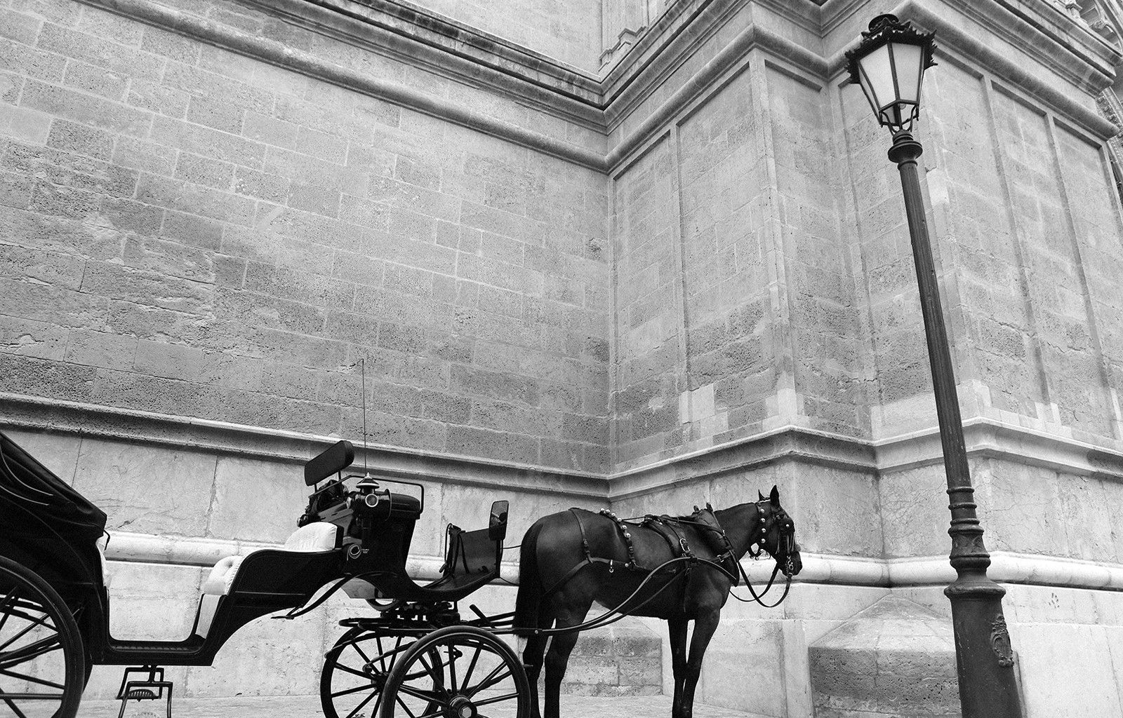 White, Carriage, Coach, Horse, Black .thewallpaper.co