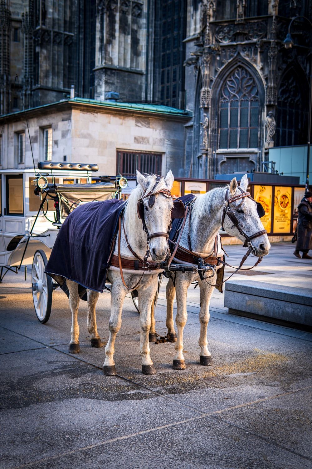 Horse Drawn Carriage Picture .com
