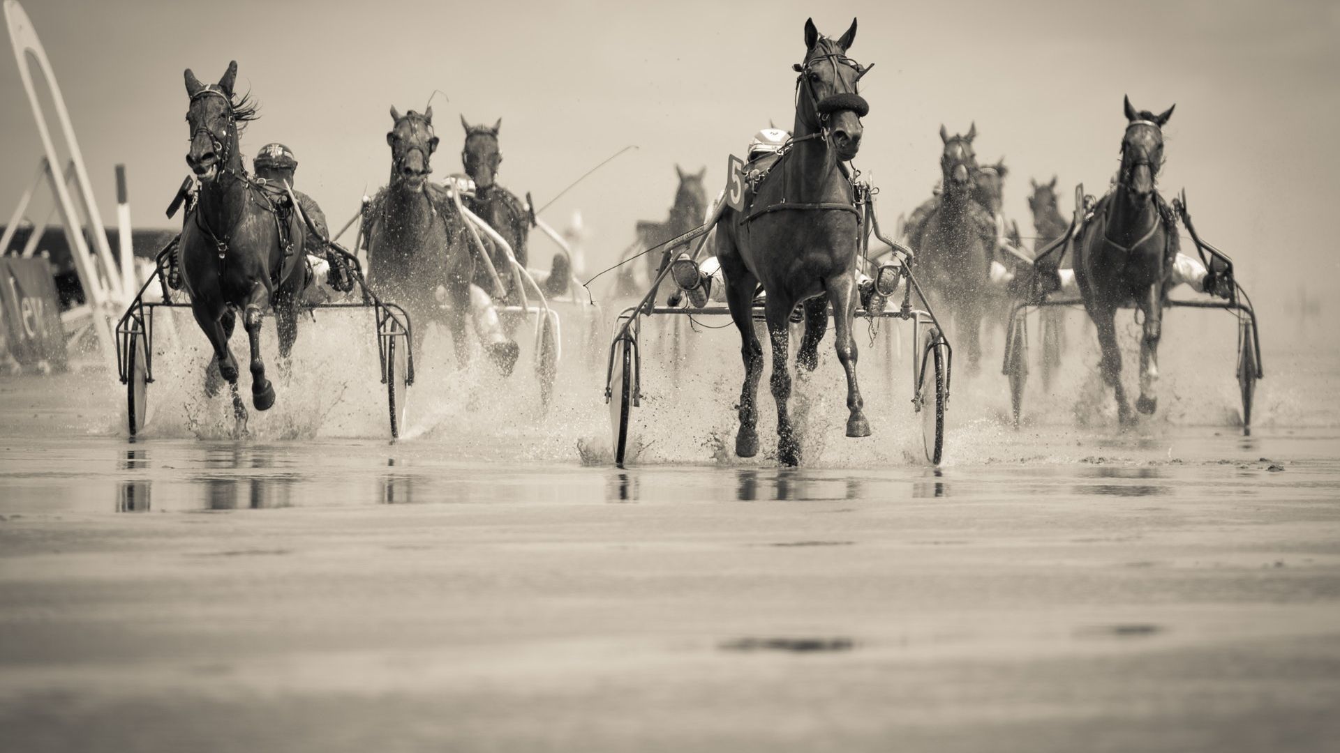 Group Of Horse With Carriage Running On .wallpapertip.com