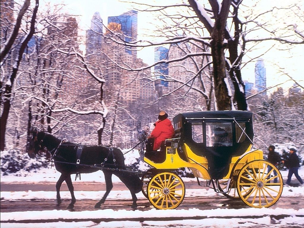 Carriage Ride In Central Park Snowayay.co.uk