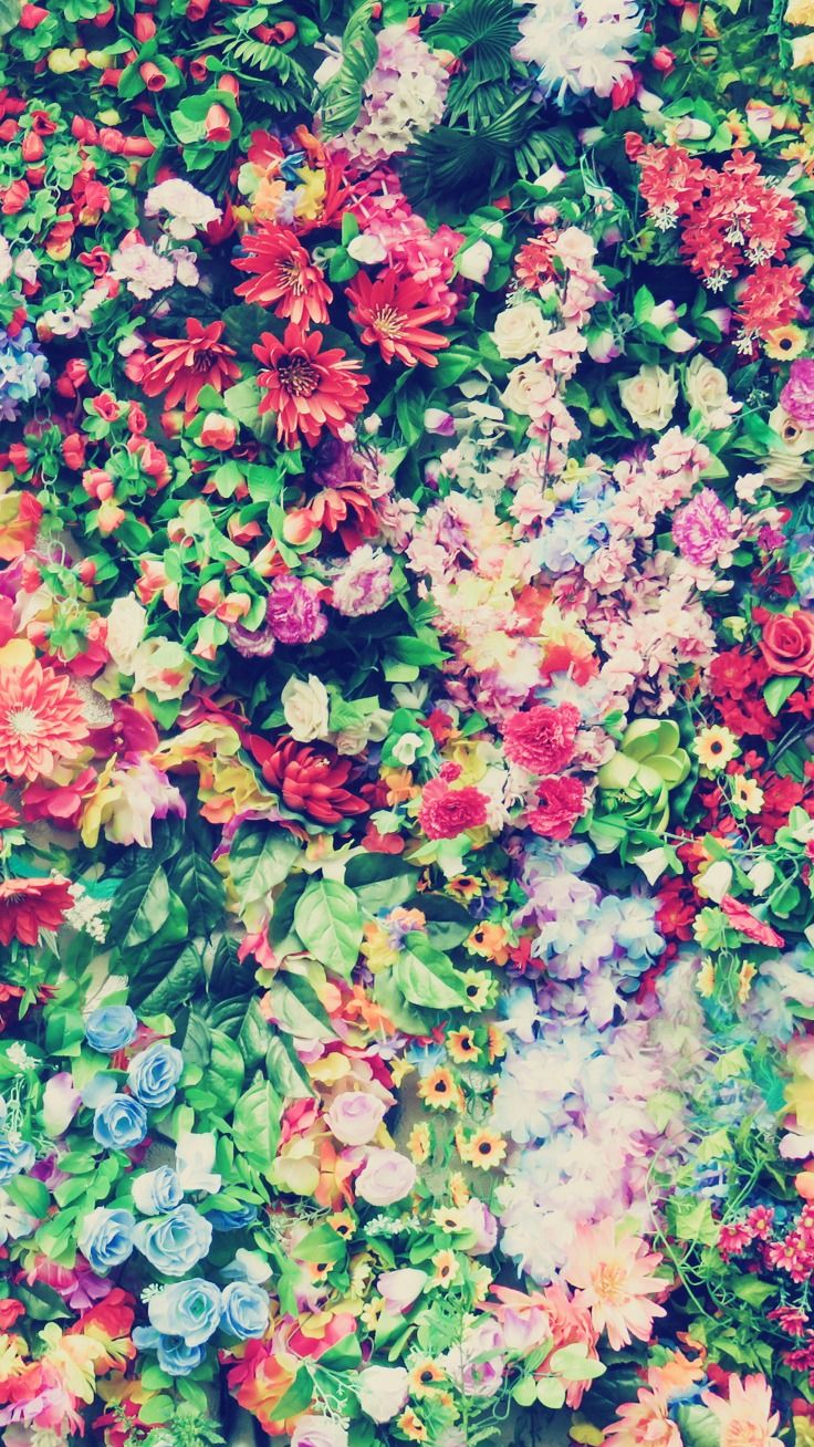Floral iPhone 7 Plus Wallpaperpreppywallpaper.com