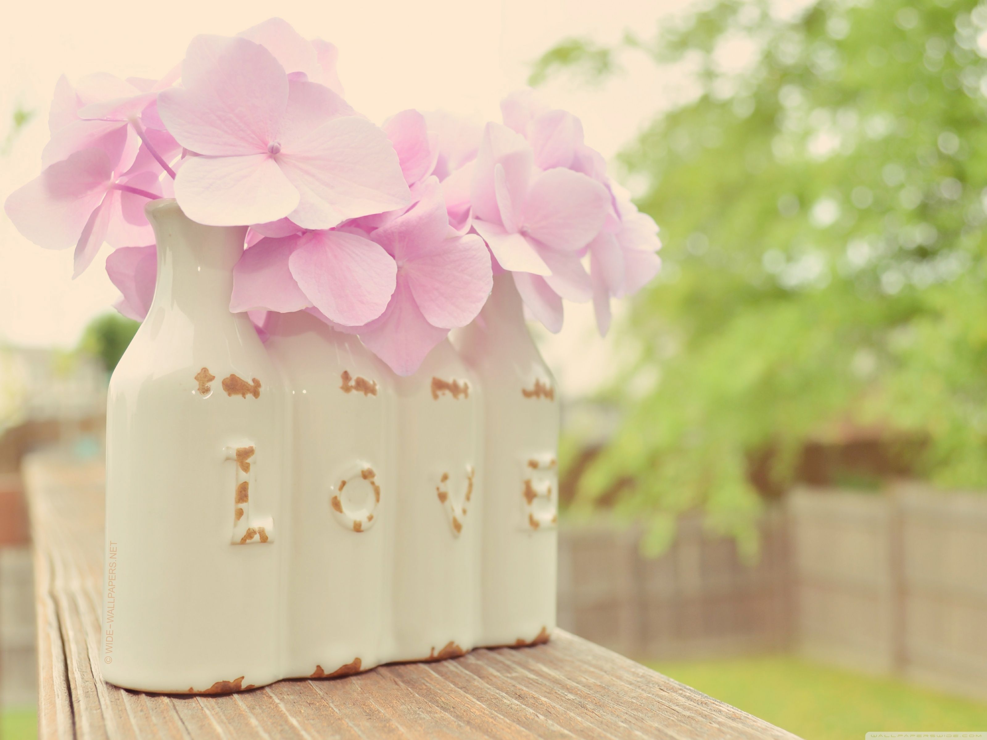 Love Ultra HD Desktop Background Wallpaper for 4K UHD TV, Tablet