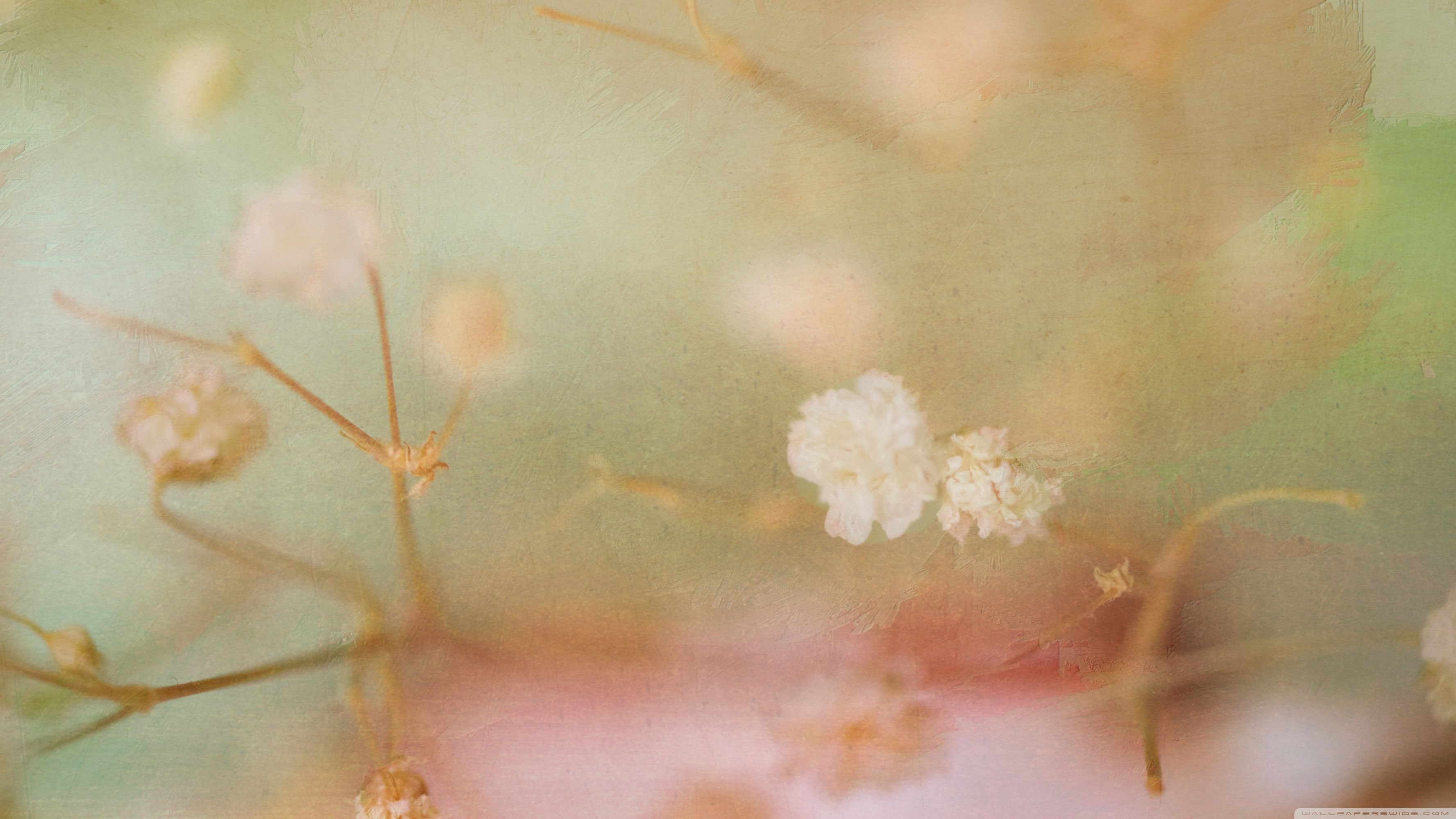 Vintage Flower Background Ultra HD .wallpaperwide.com