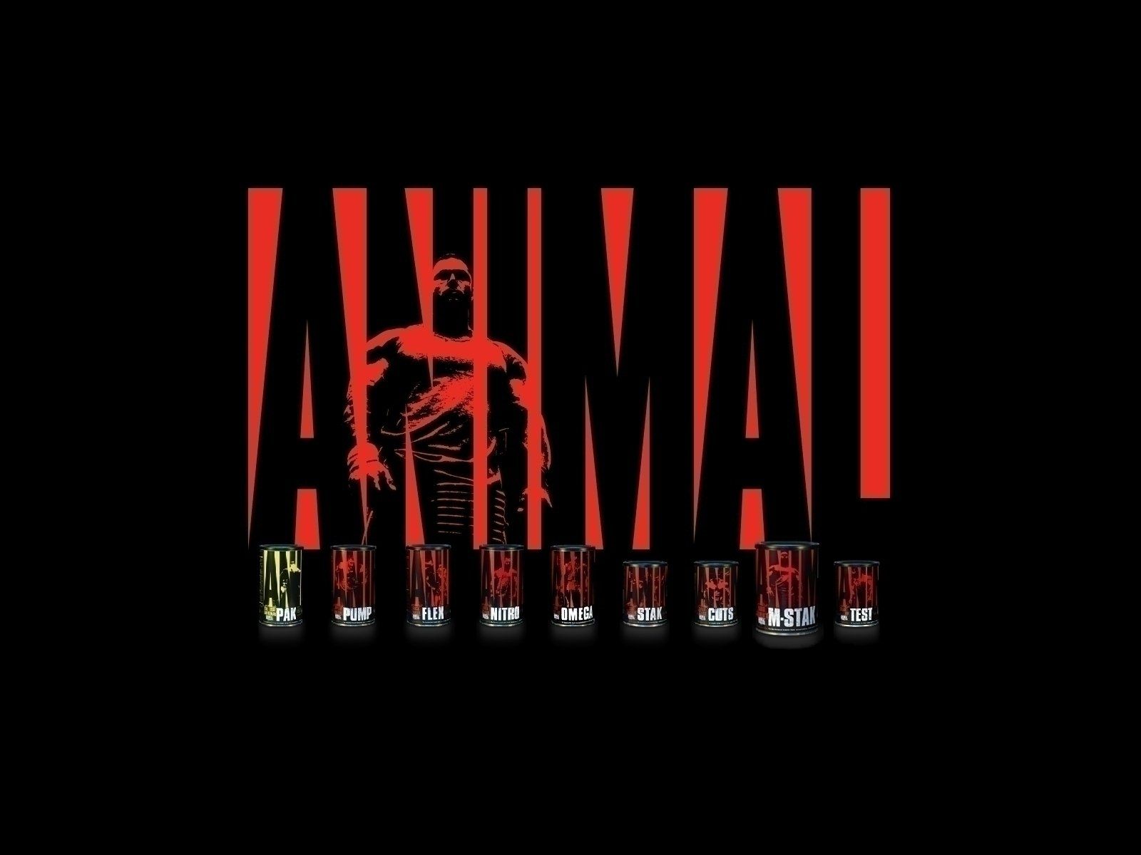 body building, Fitness, Muscle, Muscles .wallup.net