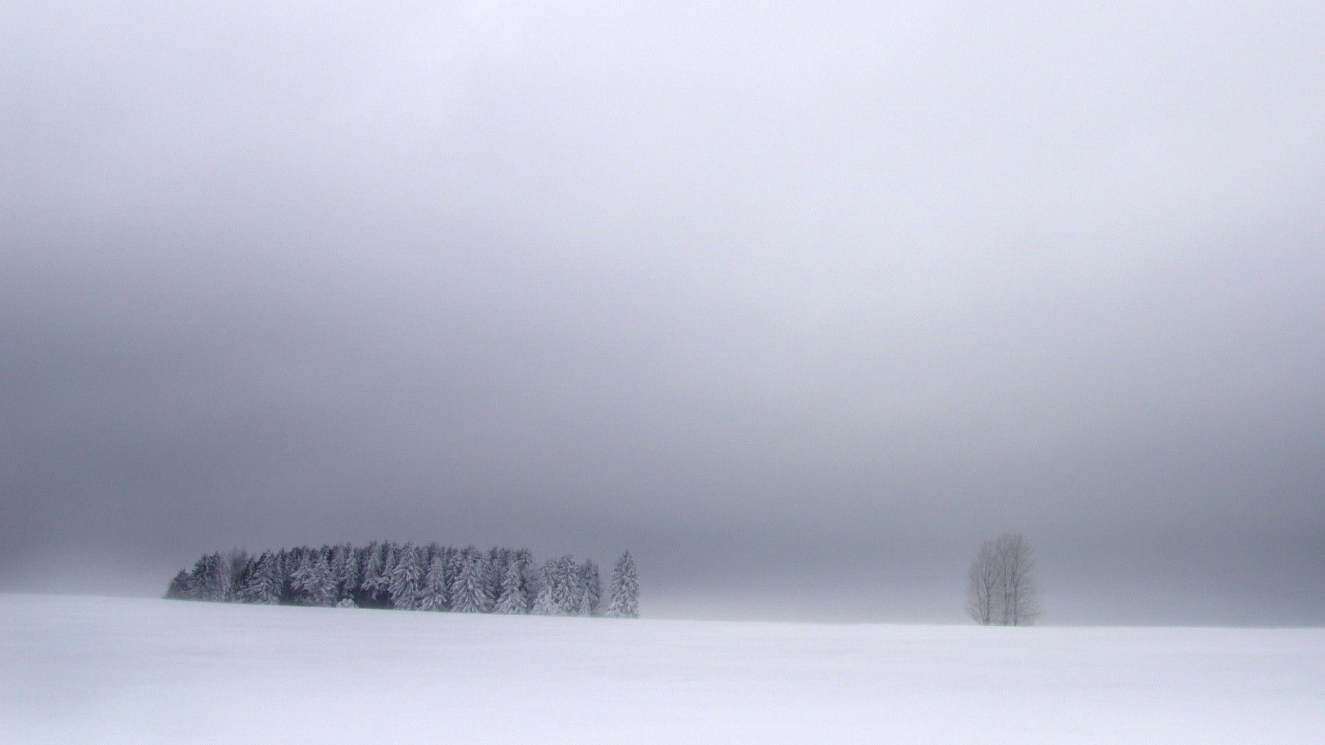 white, Winter, Nature, Blue, Sky .wallup.net