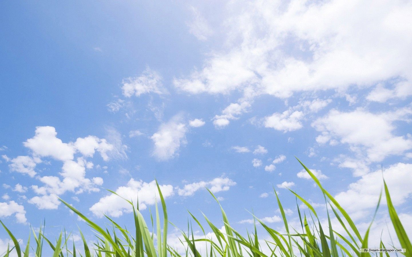 Free Wallpaper Blue Skywalpaperlist.com