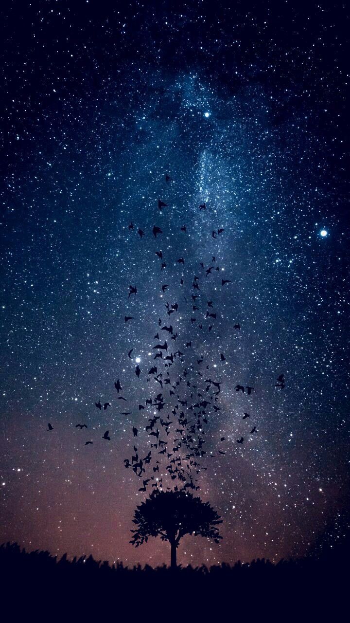 Night sky wallpaper, Nature .com