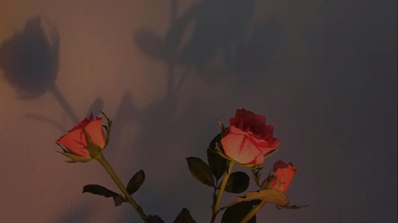 Aesthetic Roses Desktop Wallpapers - Wallpaper Cave