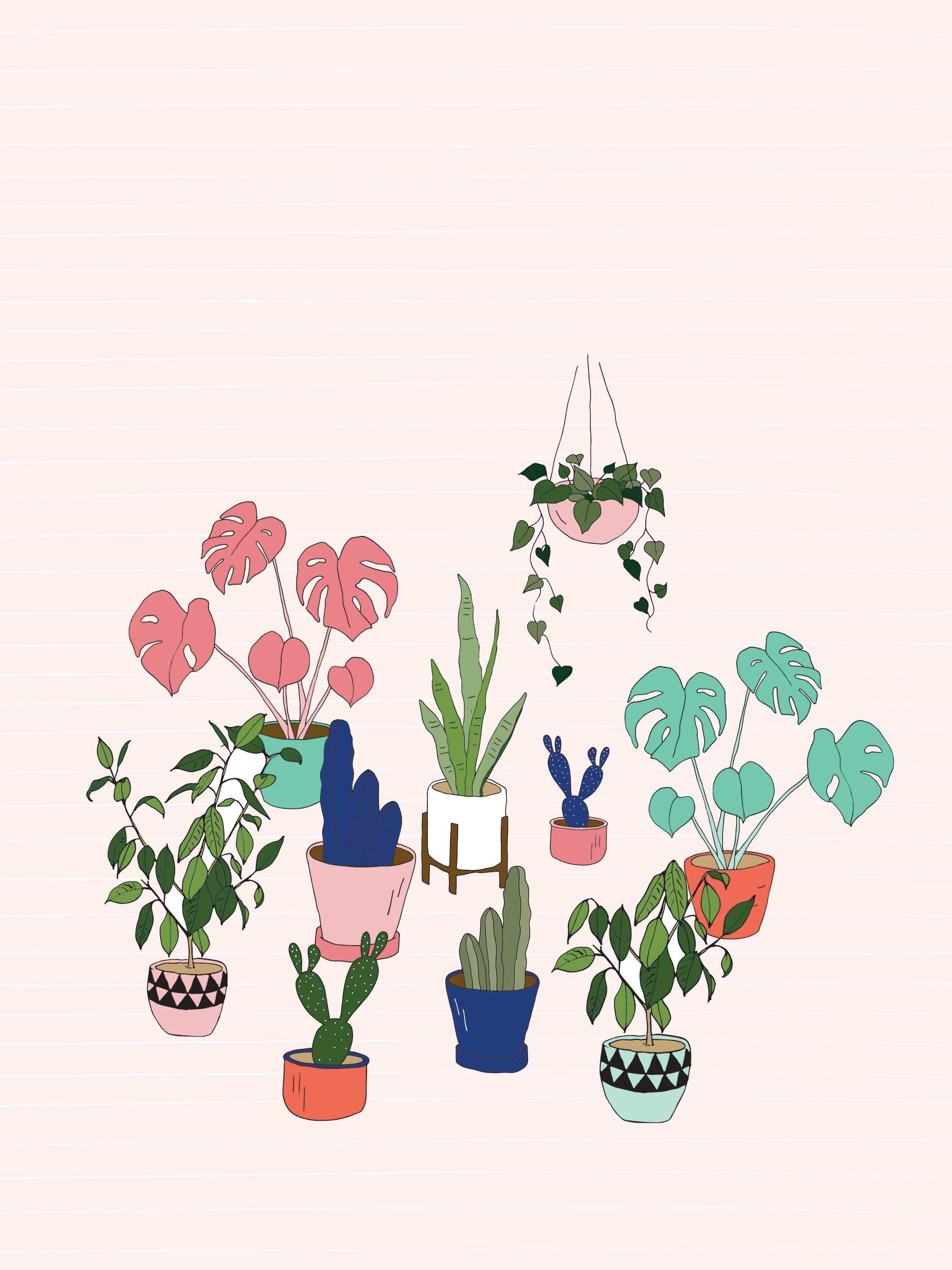 Potted Plants Wallpaper Free .wallpaperaccess.com