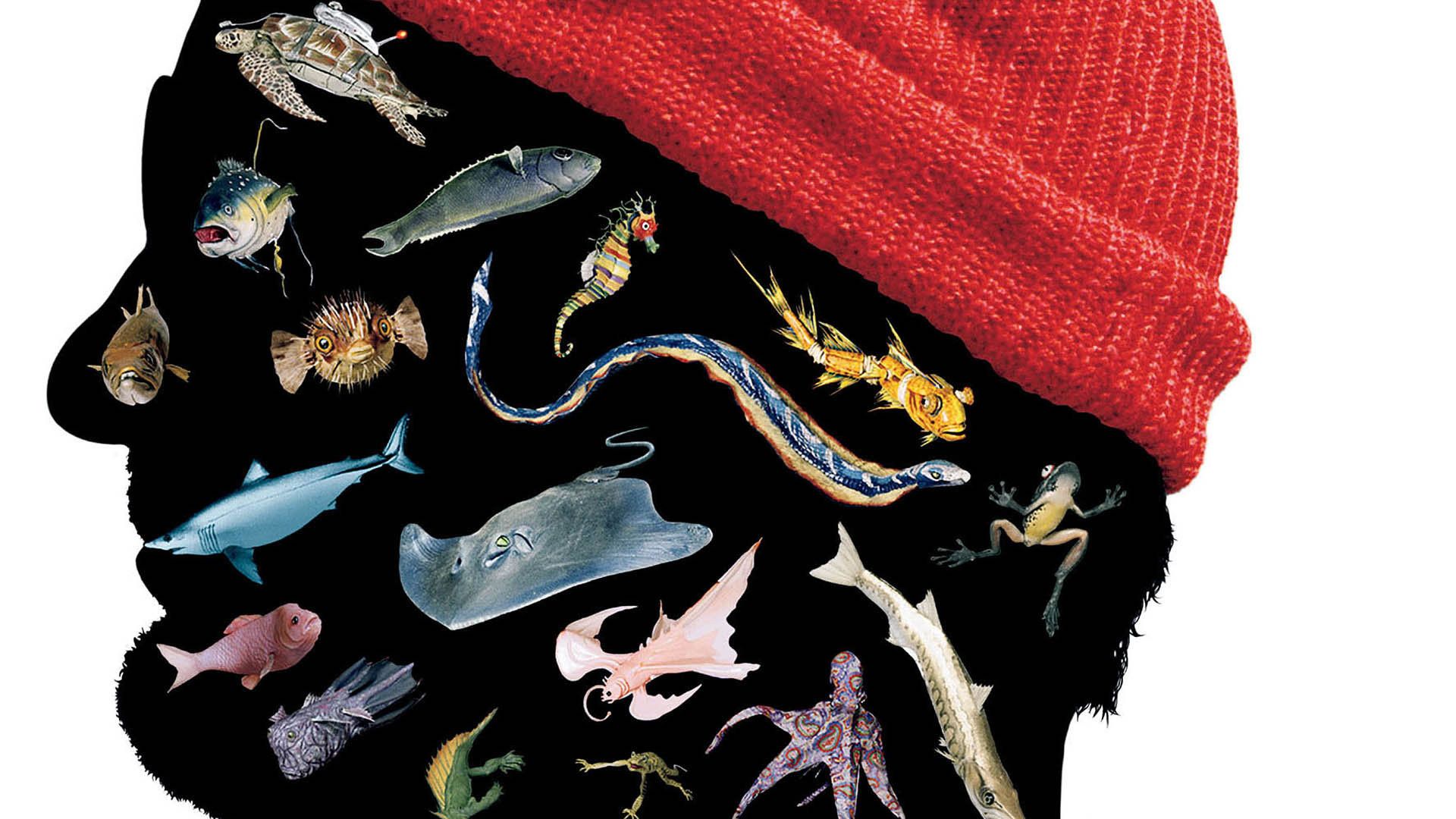 Movie The Life Aquatic With Steve .wallha.com