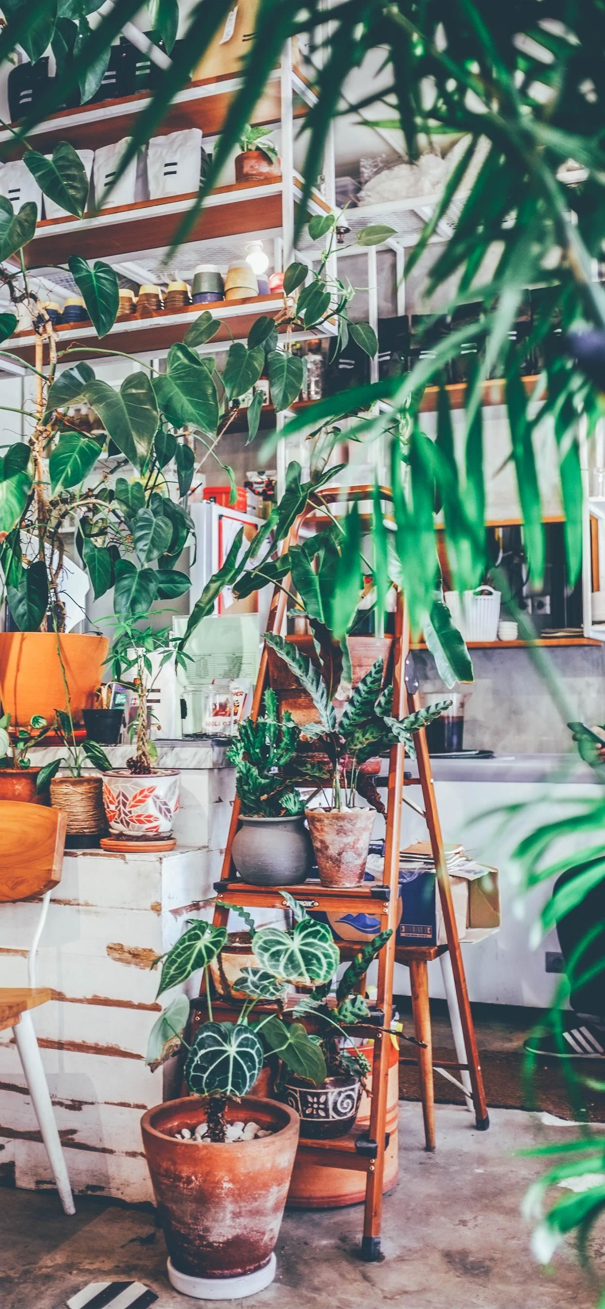 At Cafe iPhone X Wallpaper Free Downloadilikewallpaper.net