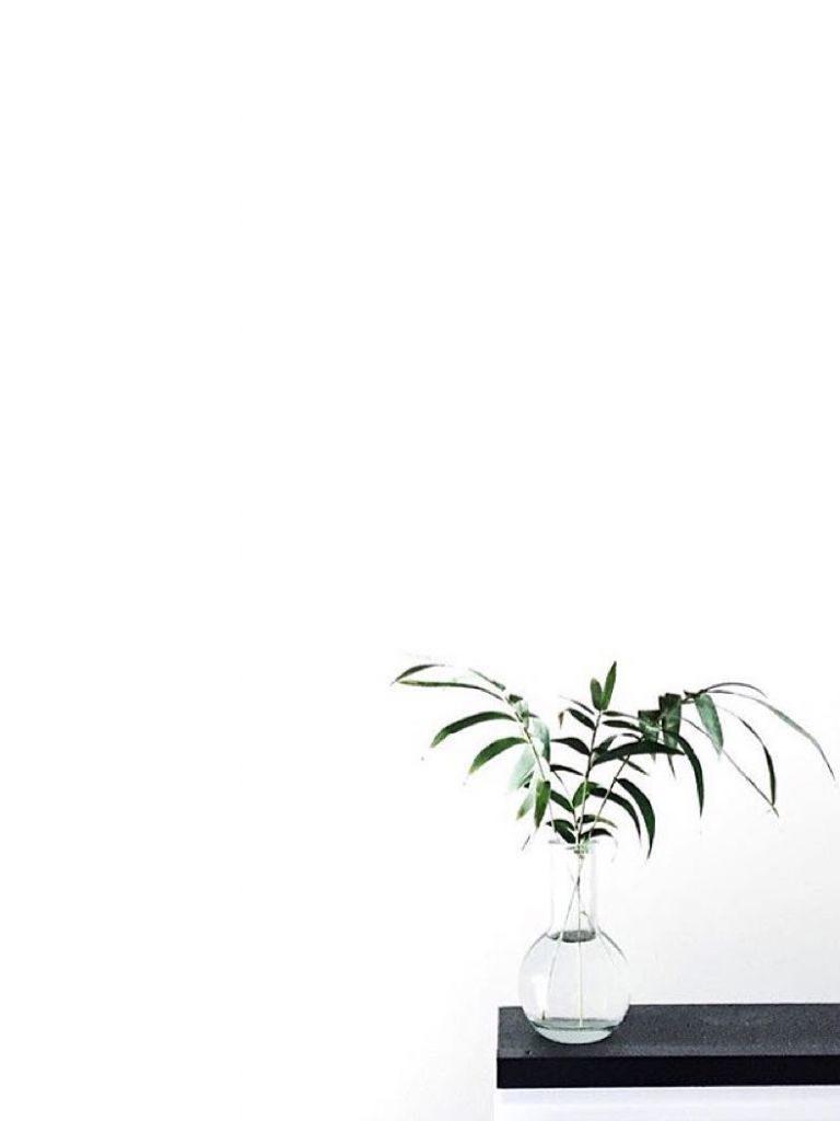 Minimalist Plant Wallpaperwallpaper.dog