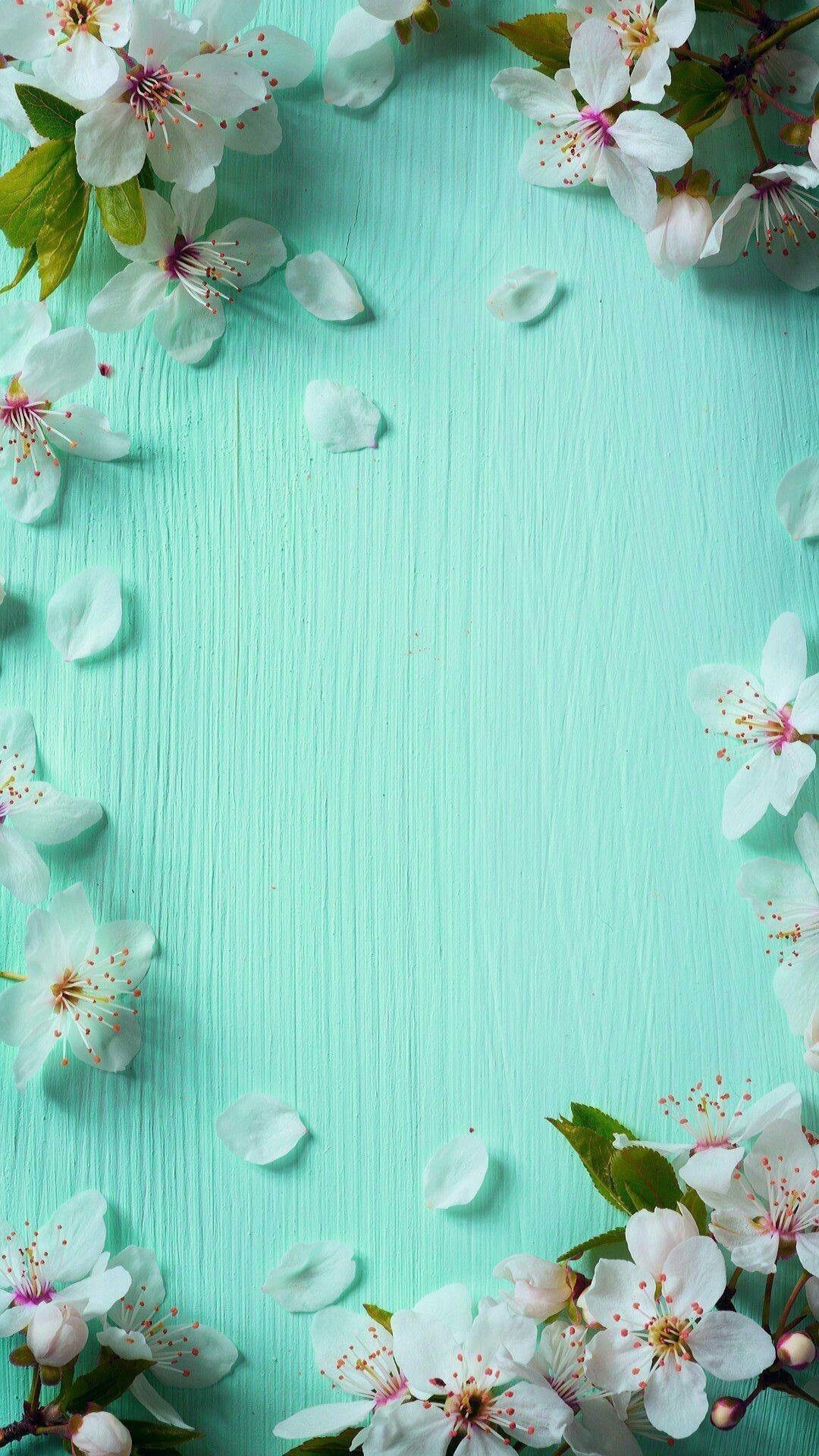 Blue Spring iPhone Background. Spring wallpaper, Pink flowers wallpaper, Flower background wallpaper