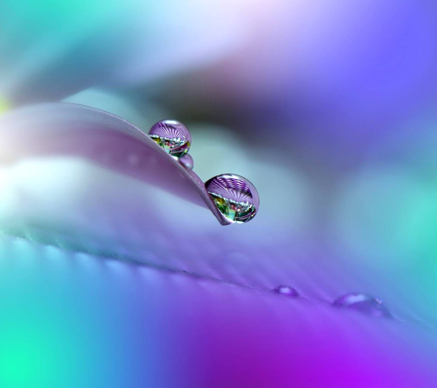 Colorful Raindrops wallpaper by .zedge.net