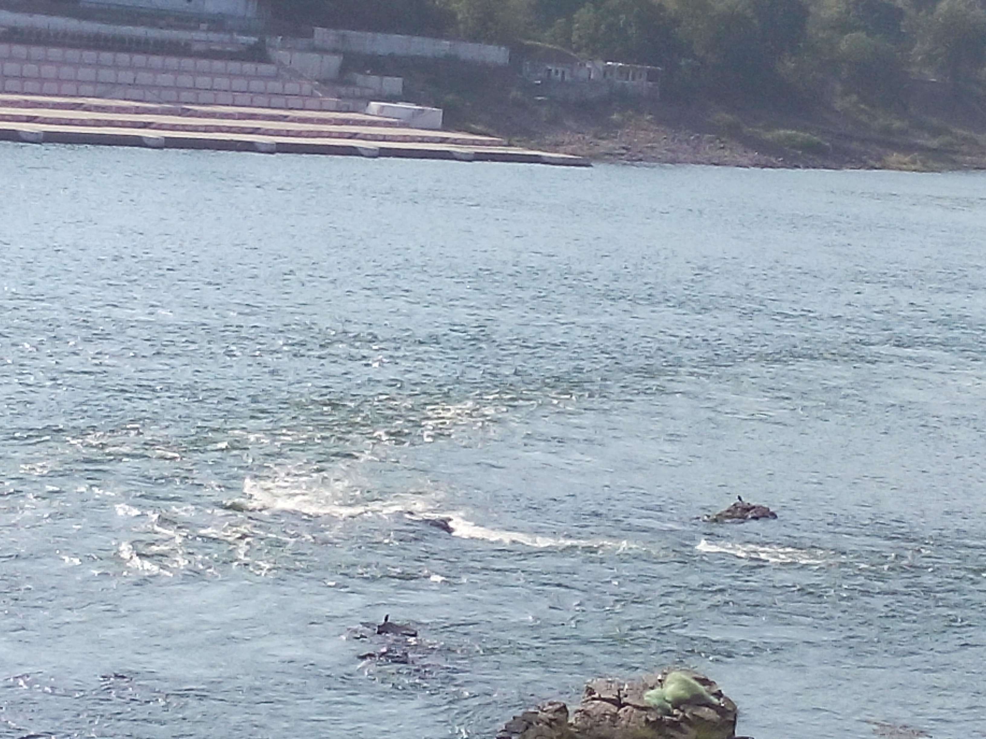 image #narmada river #river #river .com