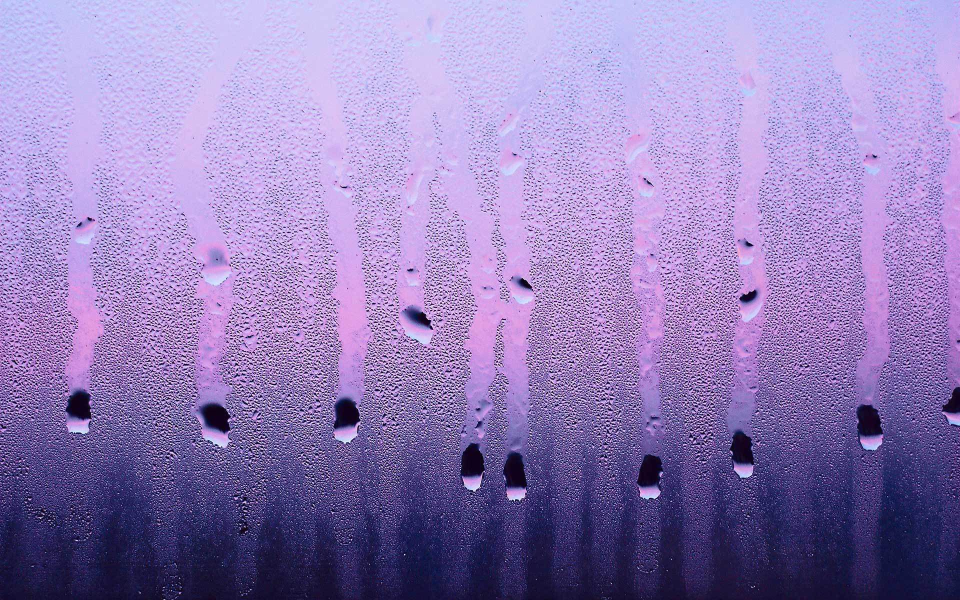 Purple Raindrops Wallpaperwalpaperlist.com