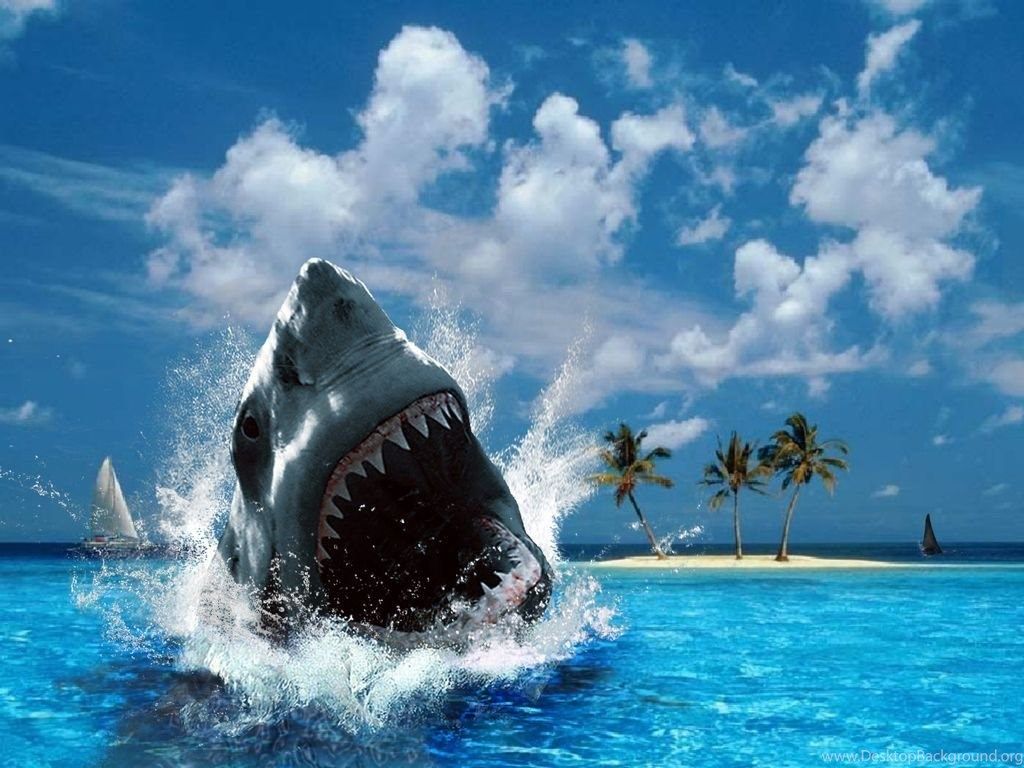 Scary Shark Wallpaper Desktop Backgrounddesktopbackground.org
