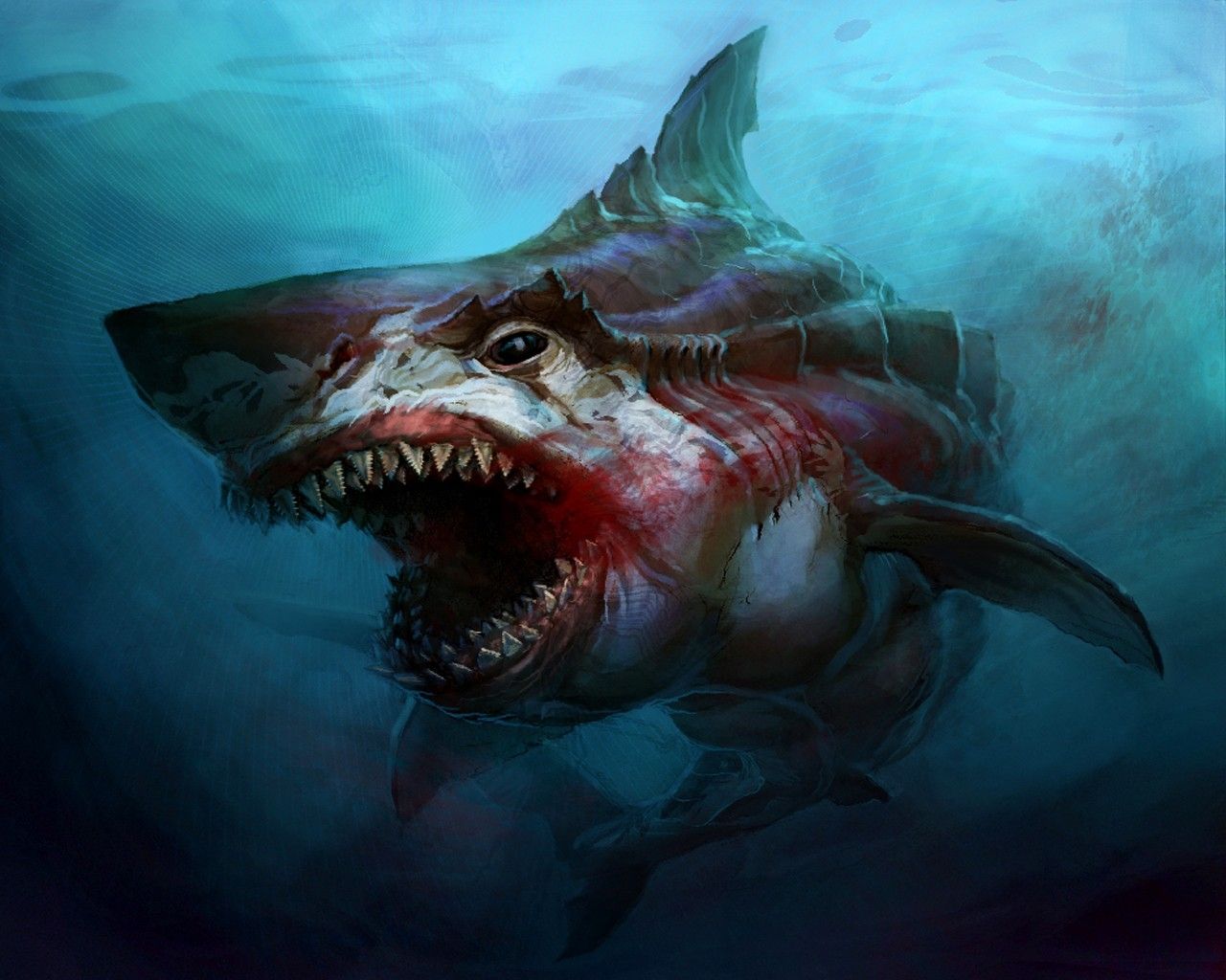 blood sharks 1280x1024 wallpaper High .animalhi.com