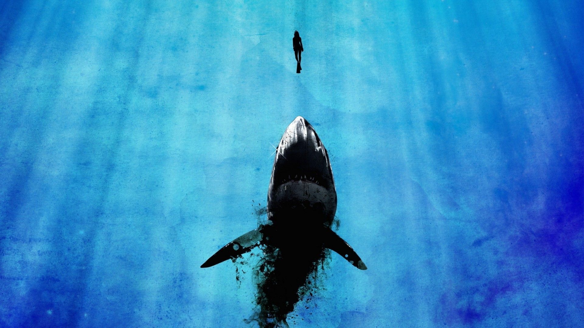 White Shark desktop wallpaper scary seen in movies