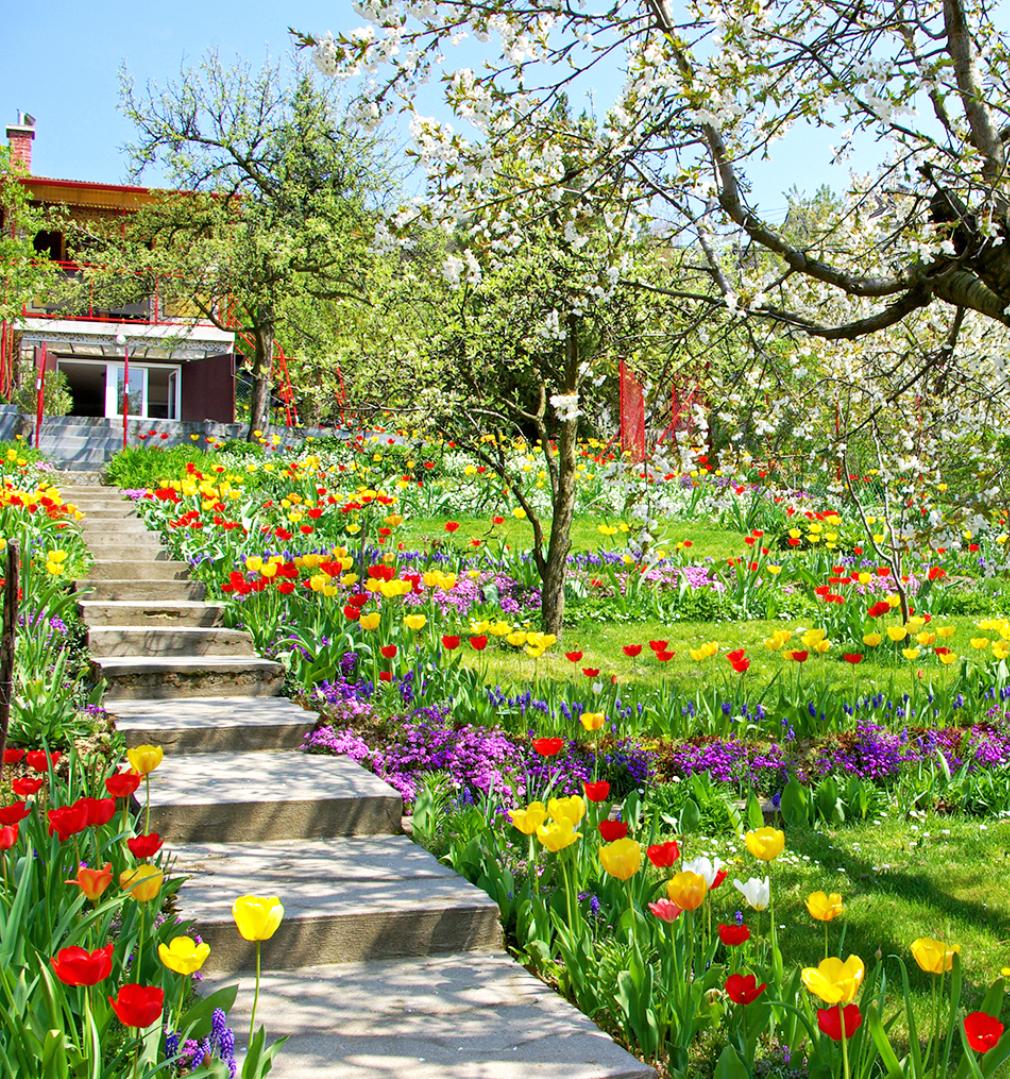 Spring Flowers Garden Wallpaper for Android