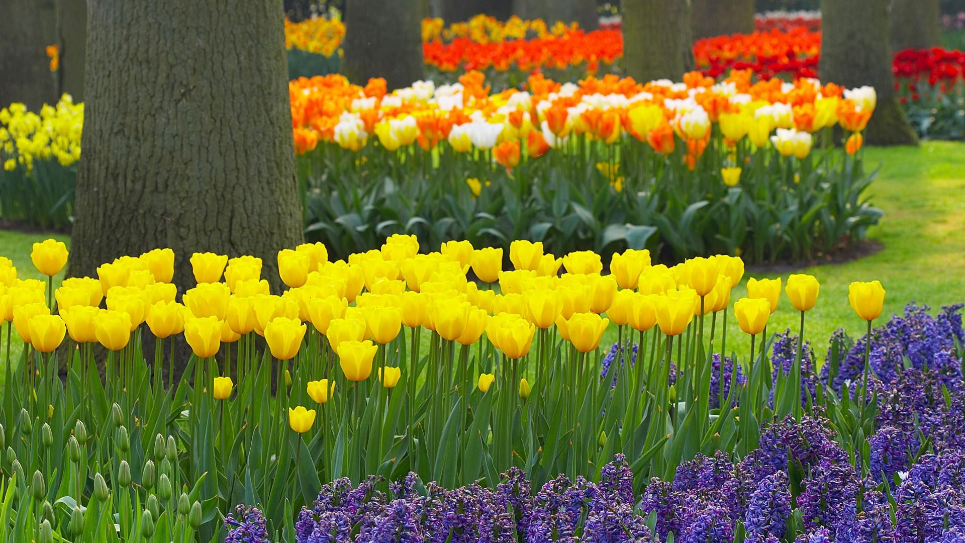 Spring Garden Wallpaper Desktop on .wallpaperafari.com