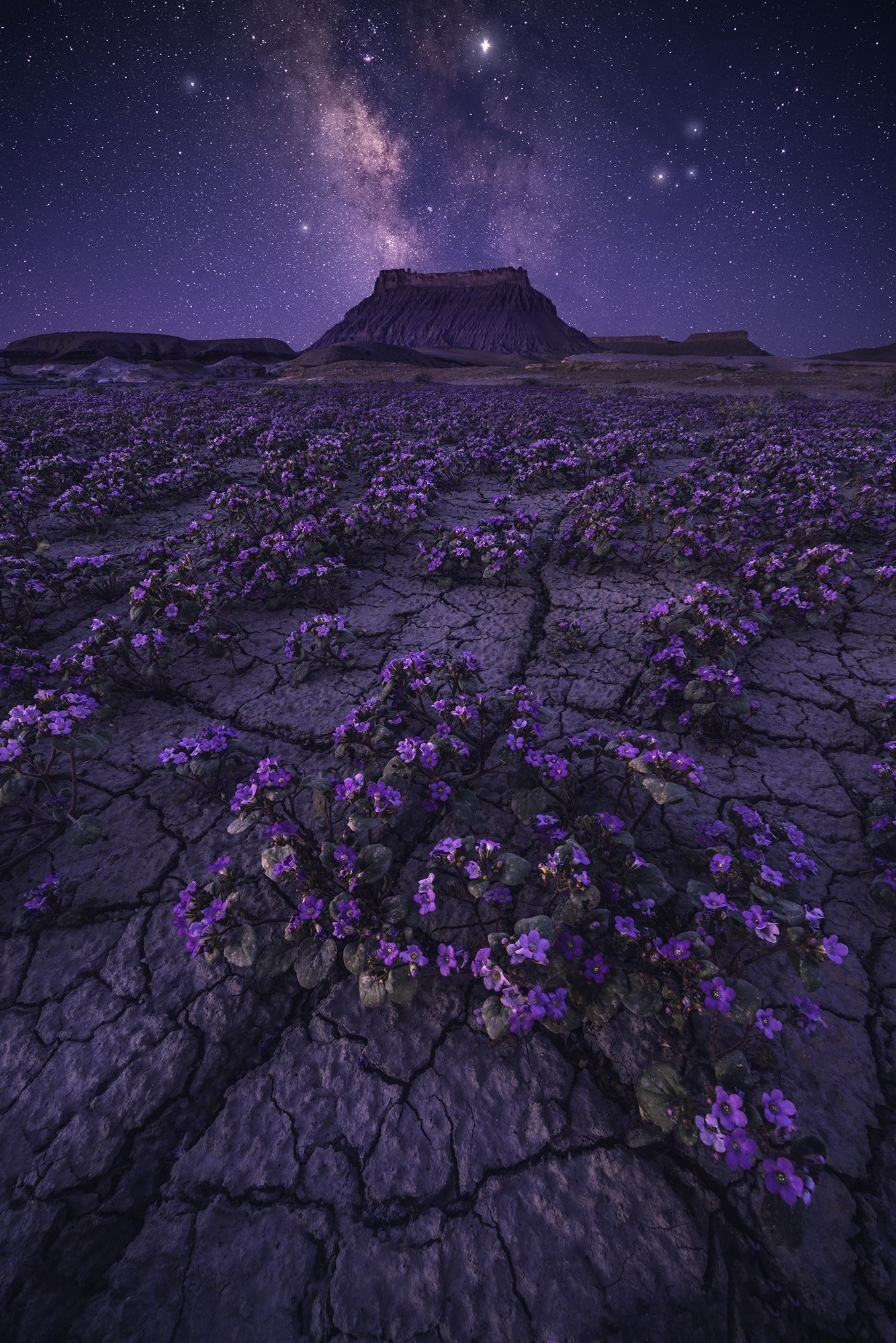 Scenery wallpaper .com