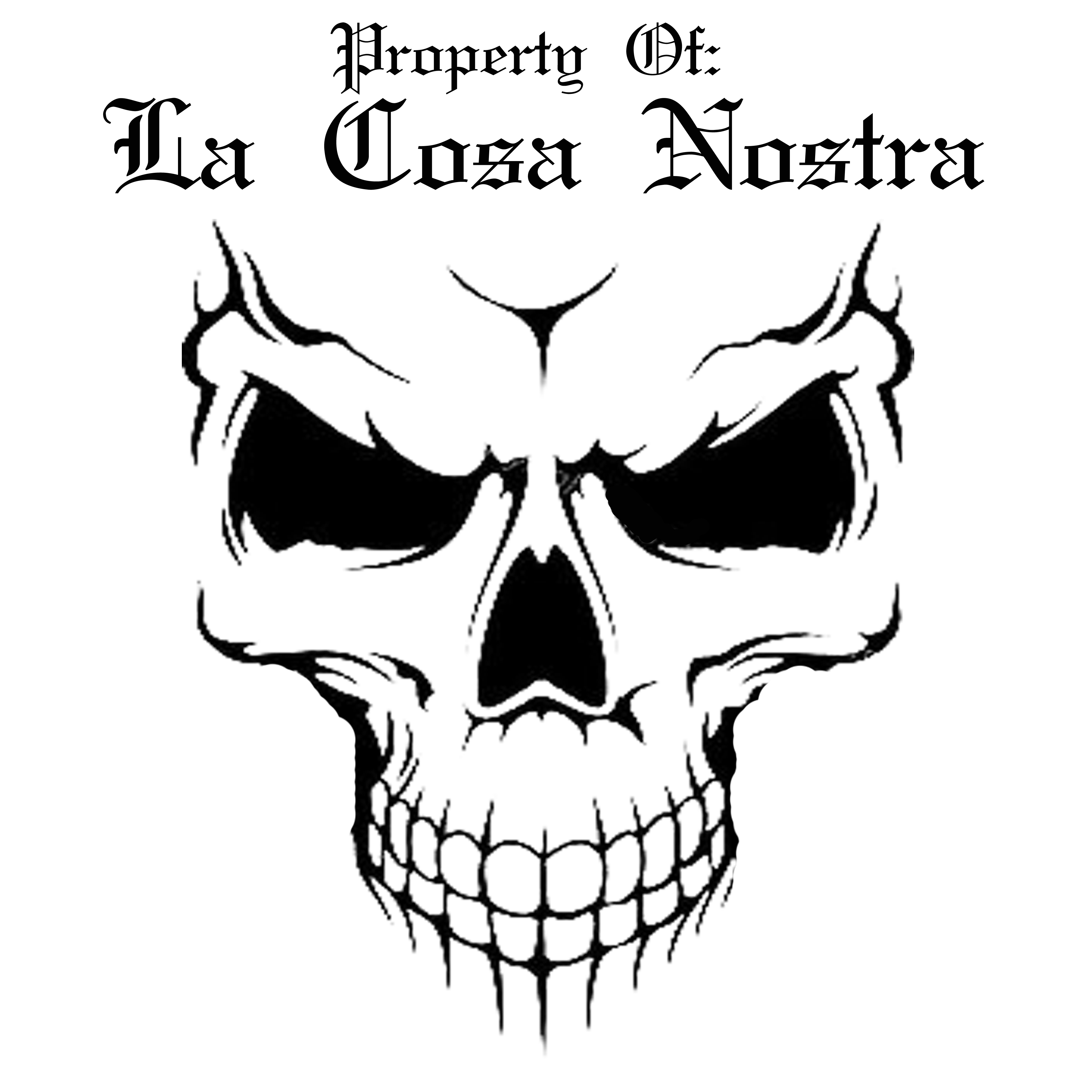 skull graphic Fleece Blanket .com