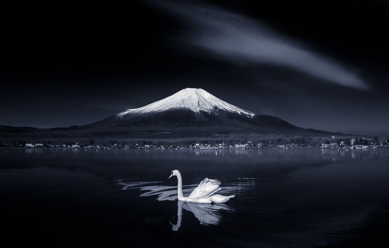 black and white japan scenery
