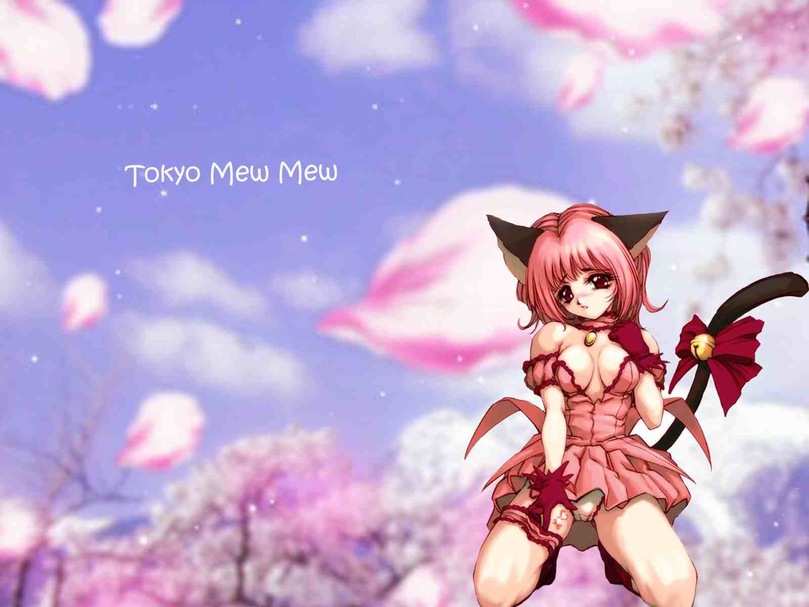 Meow meow power! Tokyo mew mew Zoey cat .es