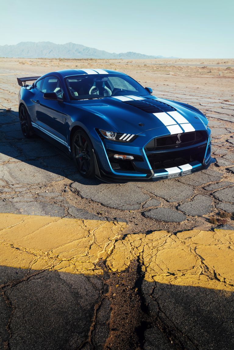 Ford Mustang Shelby GT500.com