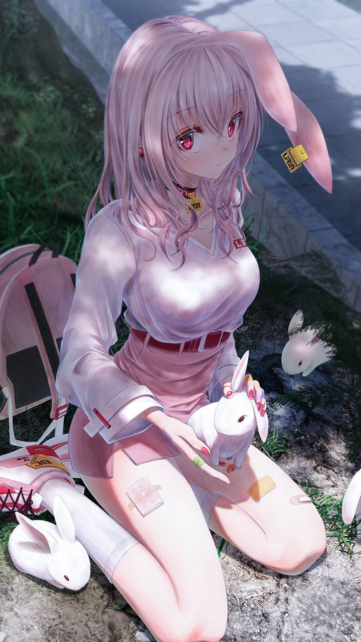 anime bunny girl wallpaper by .zedge.net