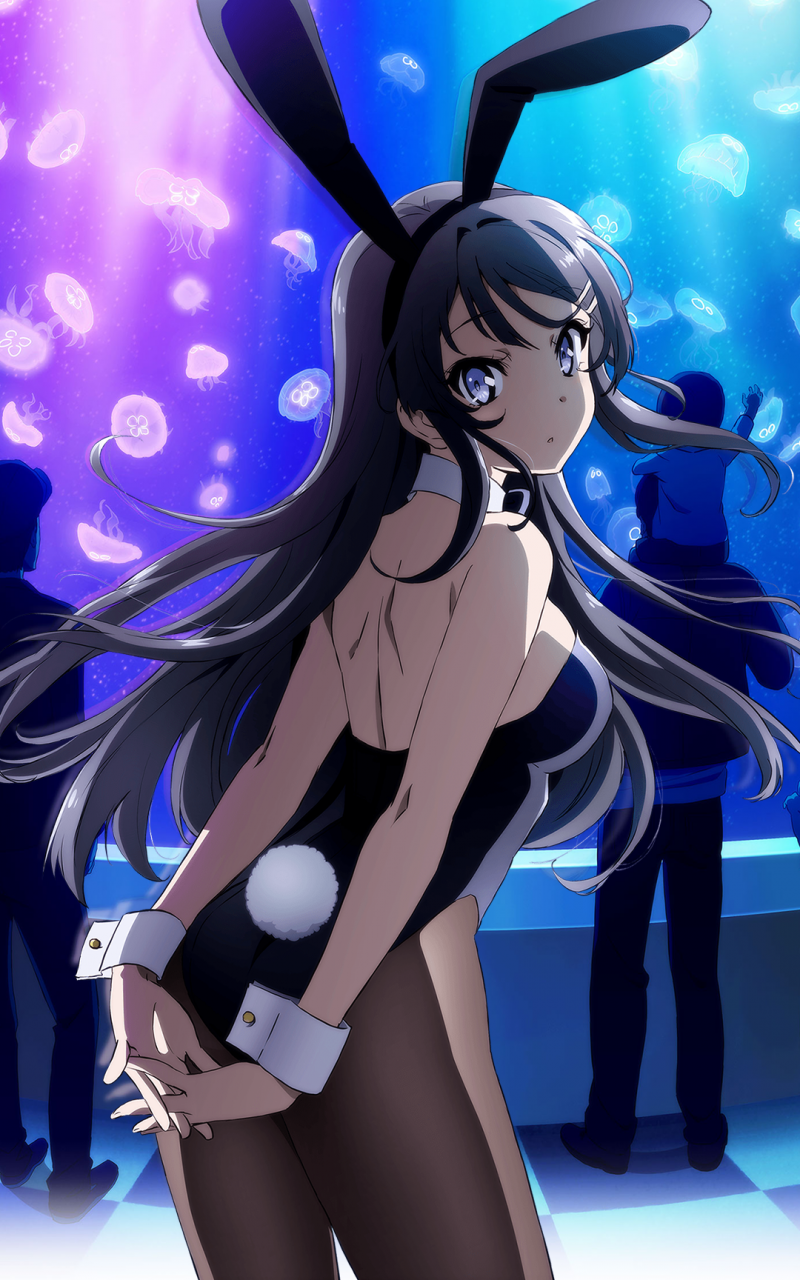 Bunny Girl Senpai 1080x1920 1080x1920 .wallpaperafari.com