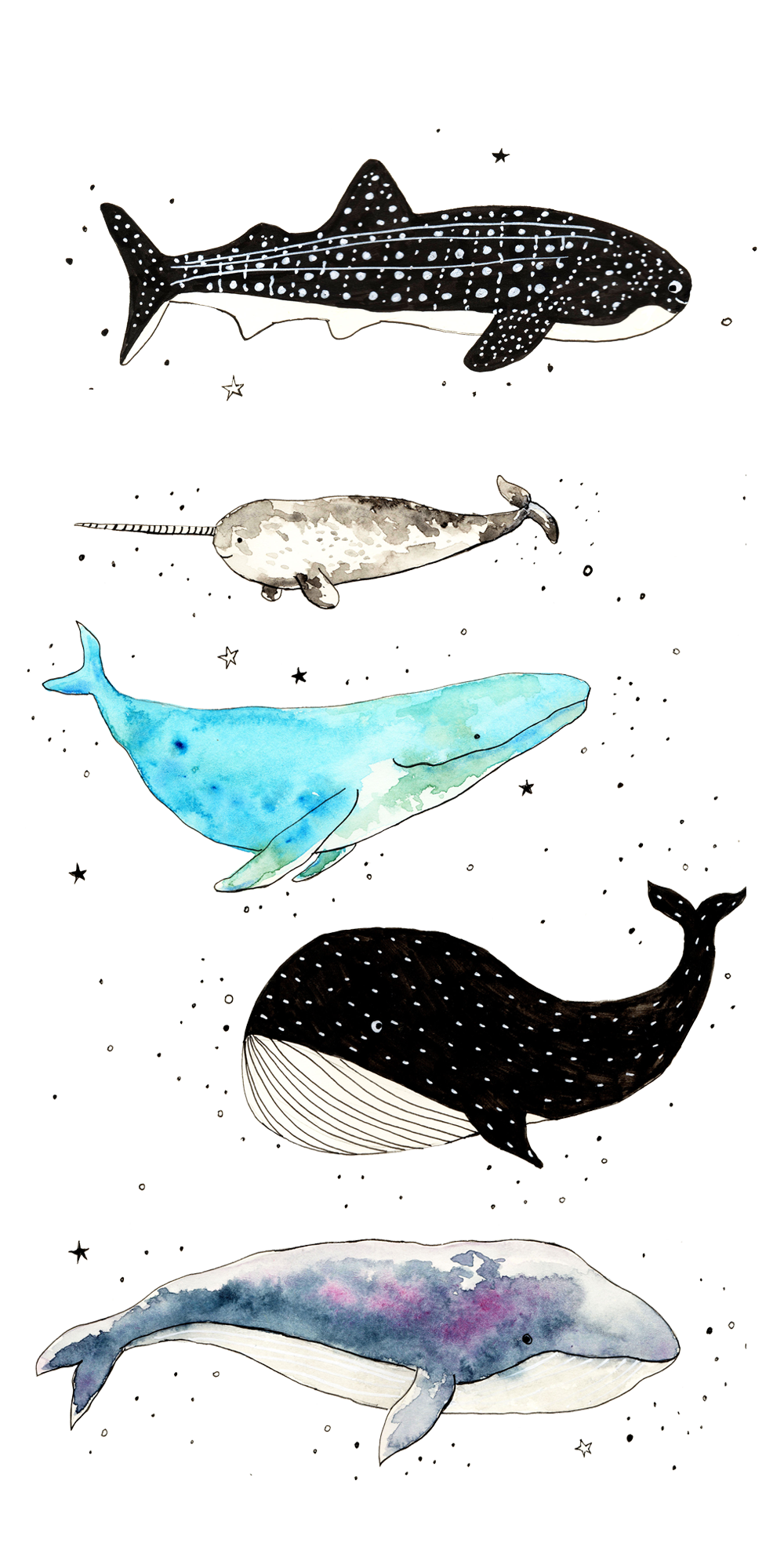 Casetify #iPhone #Art #Design #Animals #Illustration #ideas #wallpaper #cute #whale. Art wallpaper iphone, iPhone art, Painting wallpaper