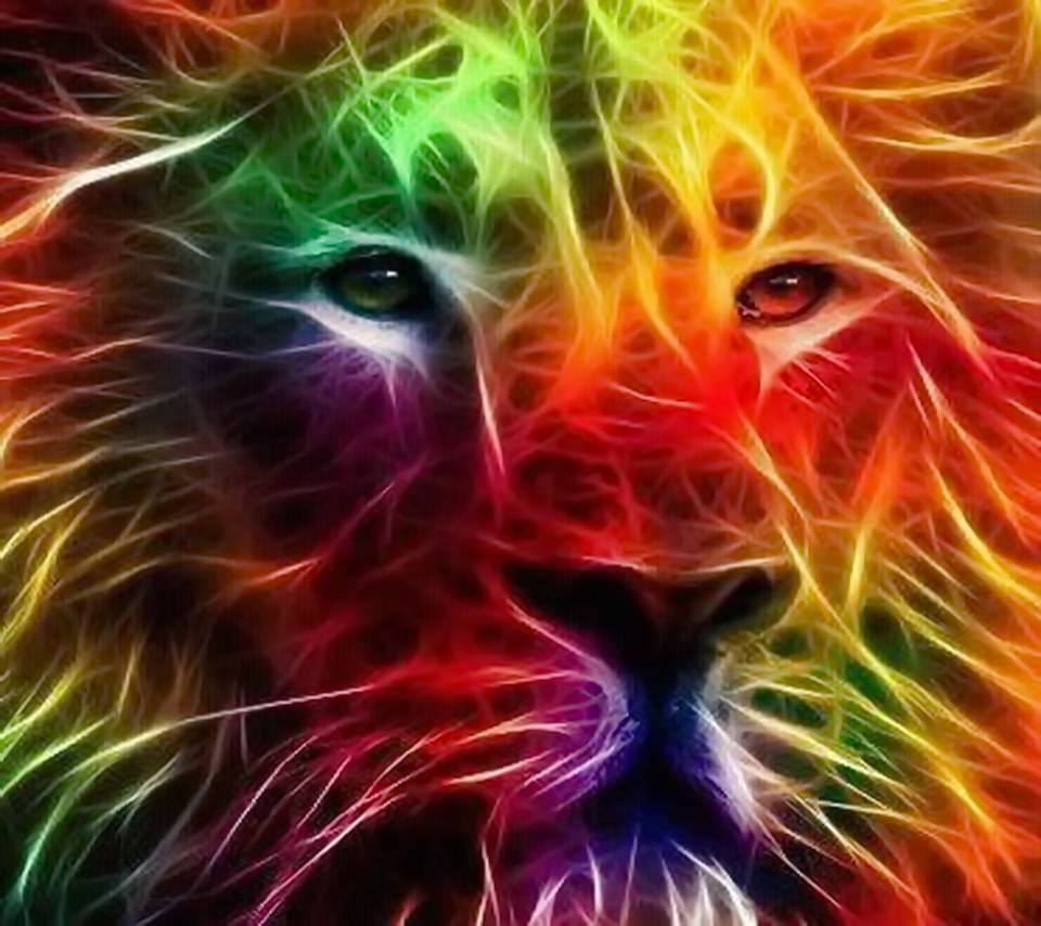 Colorful Lion HD wallpaper by xlalitx .zedge.net