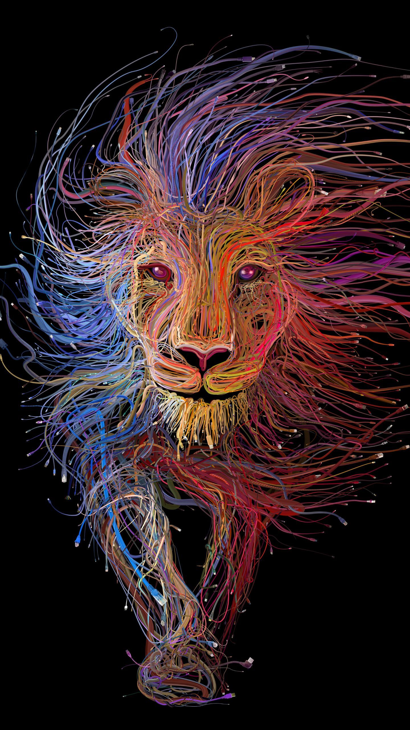 Colorful Lion Wallpaper on .com