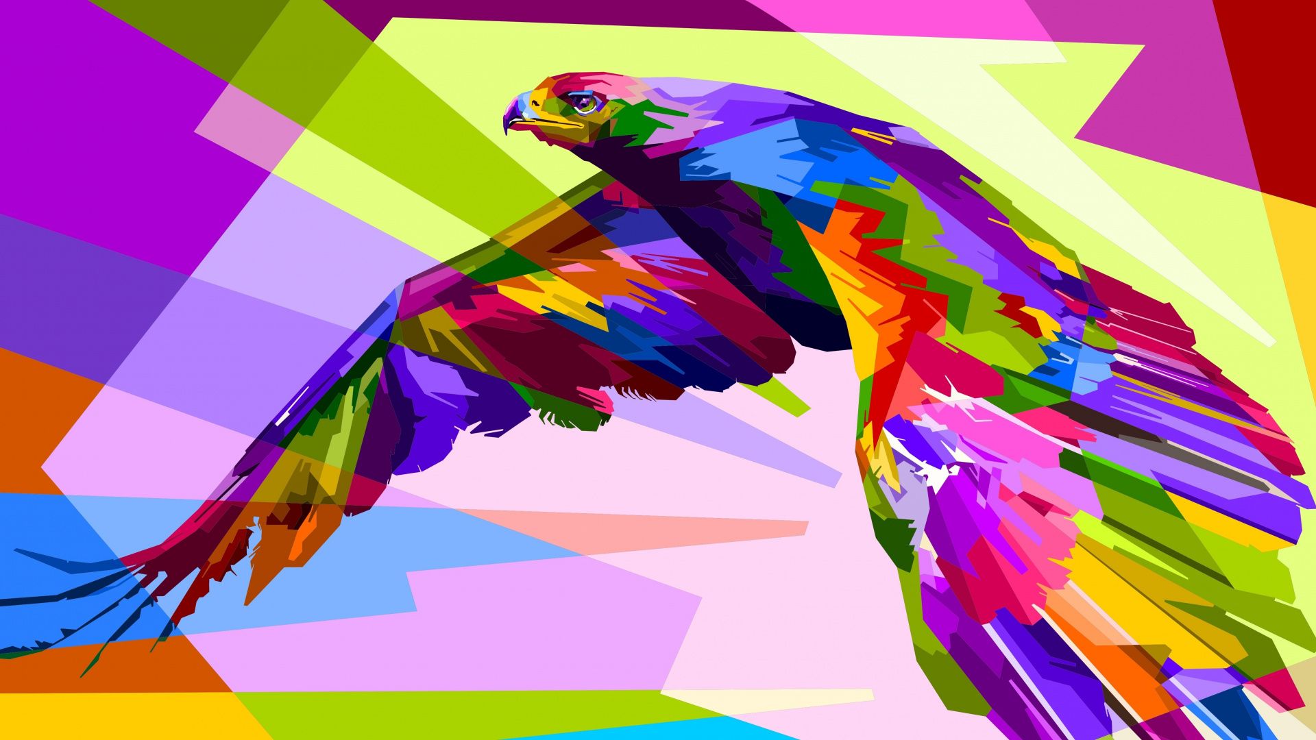 Illustration, Bald Eagle, Philippine Eagle, Macaw, Art Wallpaper & Background Download