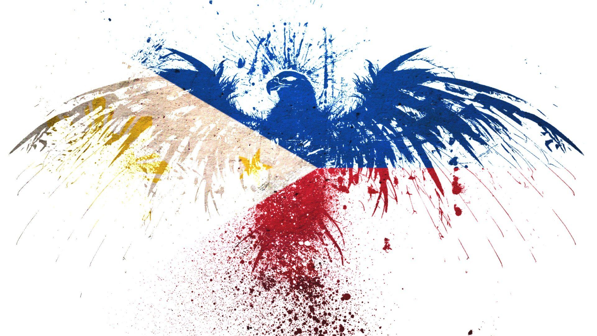 philippine eagle wallpaper desktop